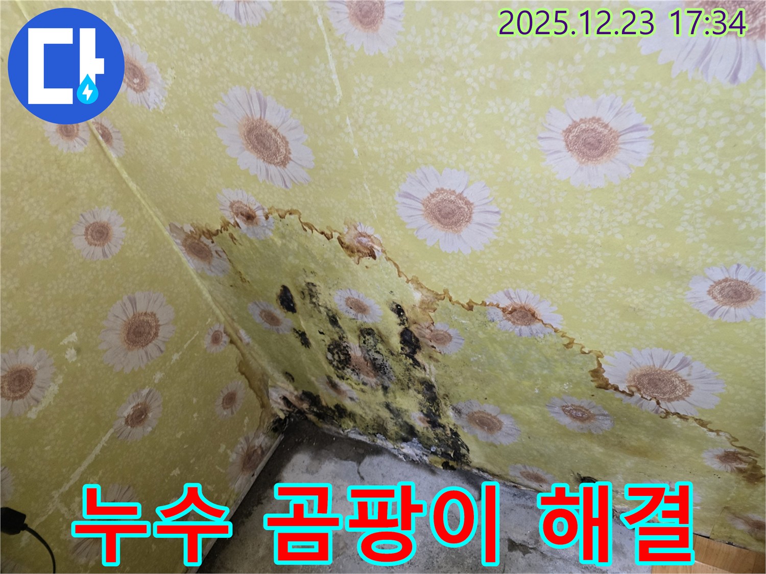 동두천 생연동 누수 및 곰팡이 해결 - 완벽한 시공으로 고민 해결