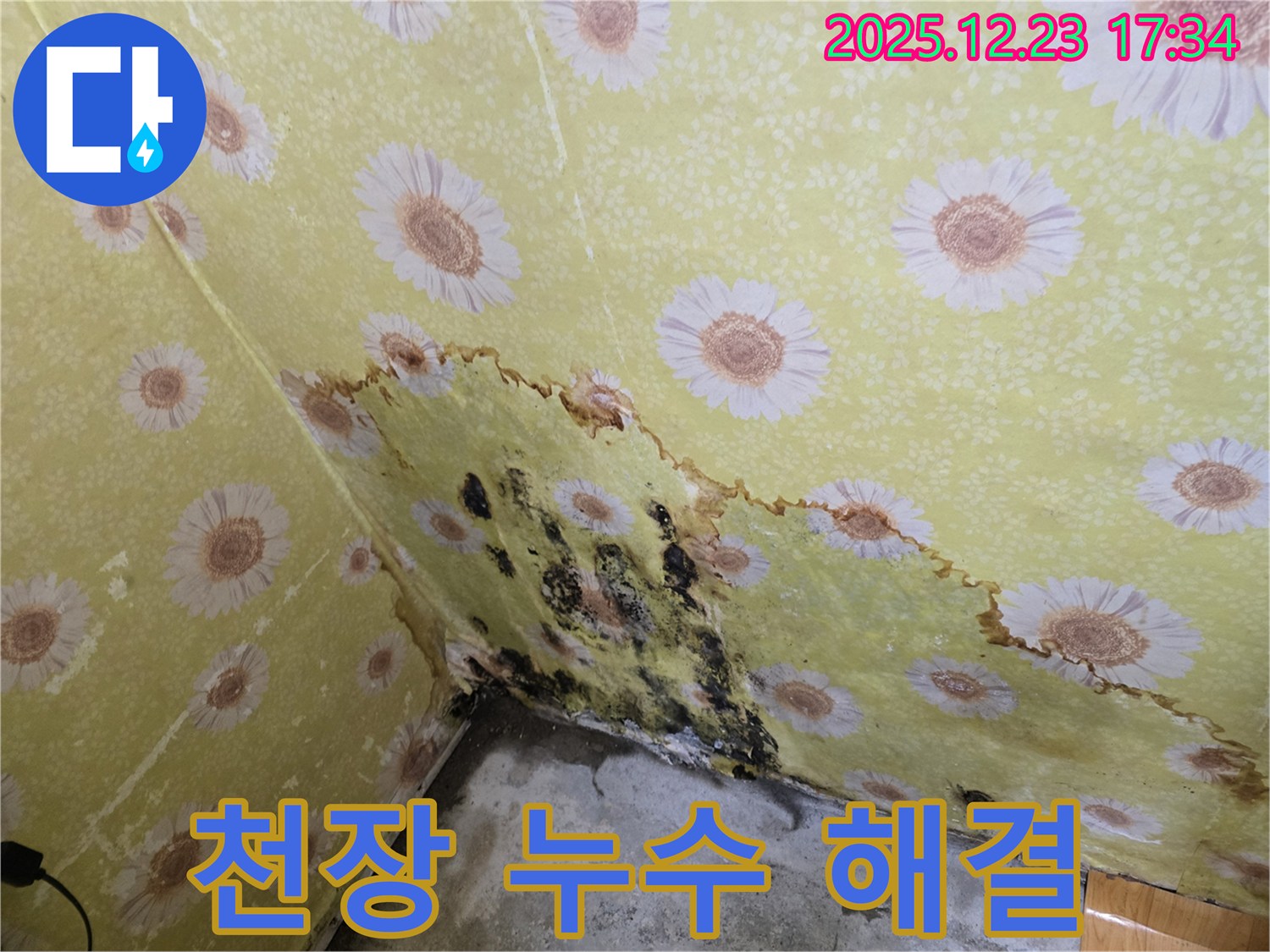 동두천 생연동 천장 누수 해결 - 곰팡이 문제까지 완벽하게