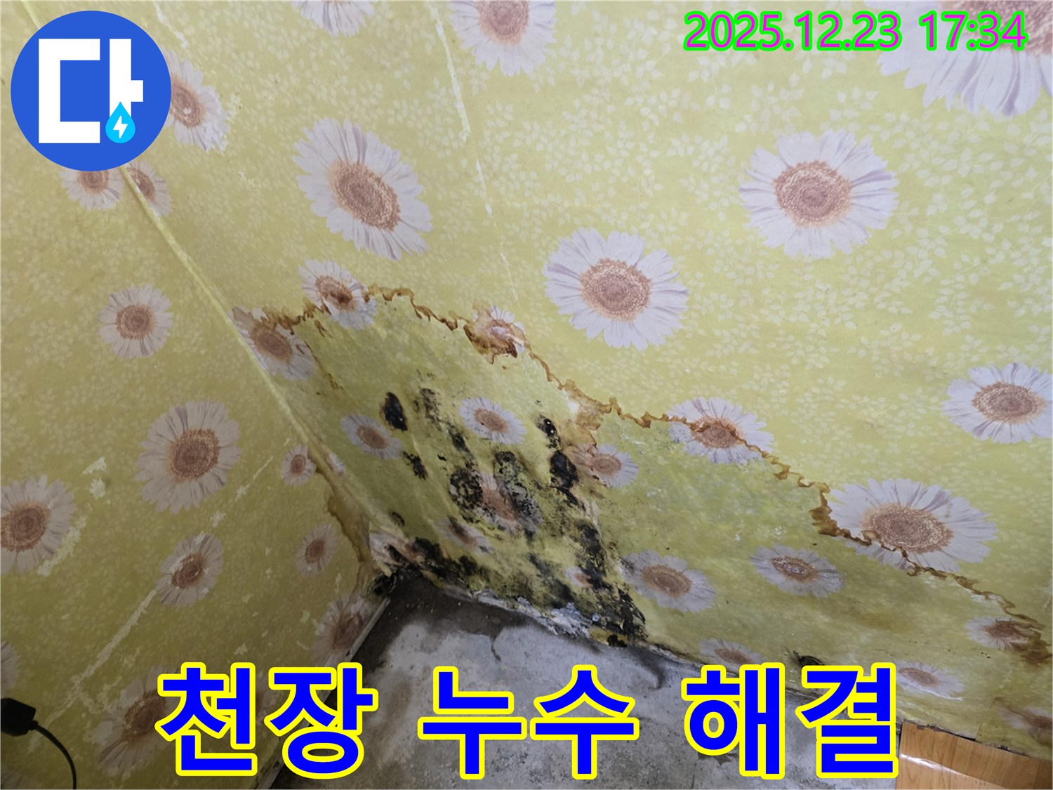 동두천 생연동 천장 누수 해결 - 곰팡이 문제까지 확실하게 해결