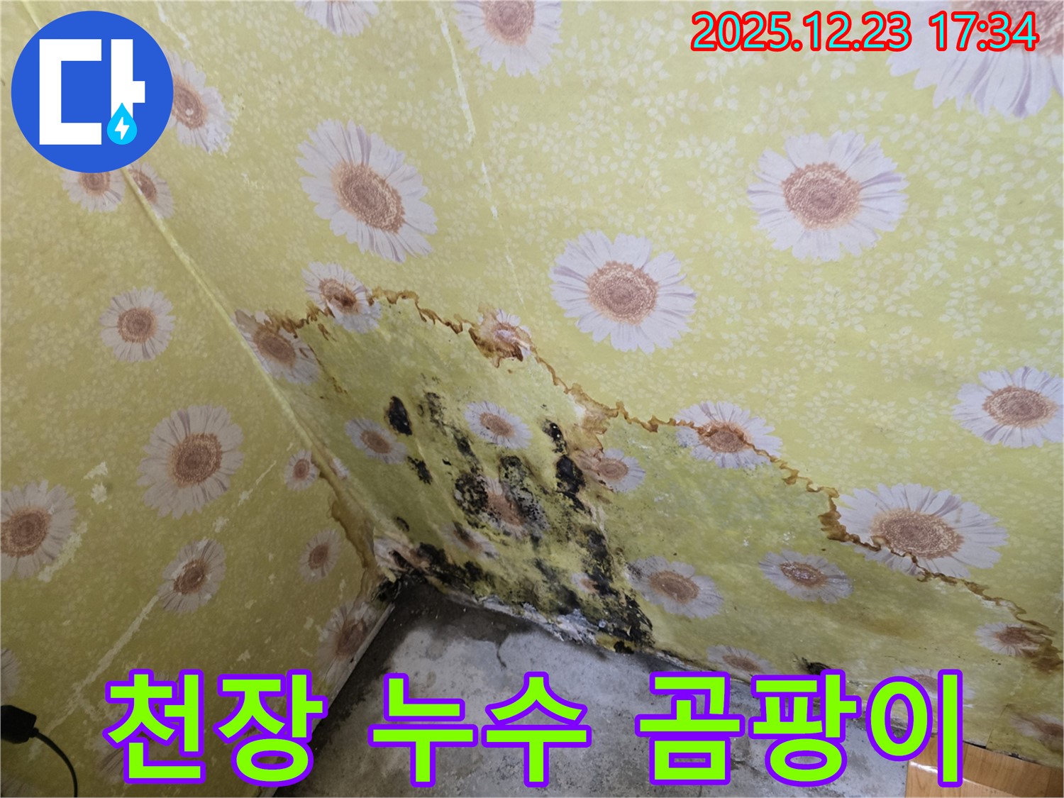 동두천 생연동 천장 누수 현장 - 곰팡이 발생으로 누수탐지 및 공사 진행
