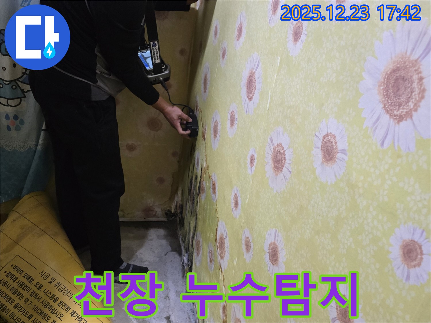 동두천 생연동에서 천장 누수탐지 - 전문 장비로 꼼꼼하게 진단합니다.