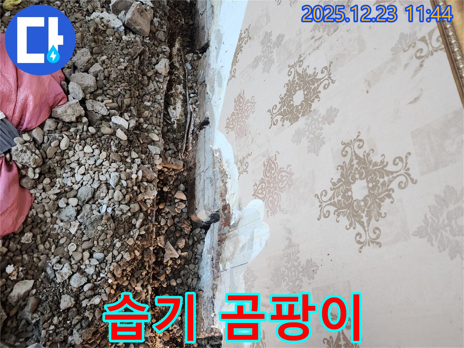 동두천 누수 - 천장 속 습기, 곰팡이 번식에 최적의 환경을 제공합니다!