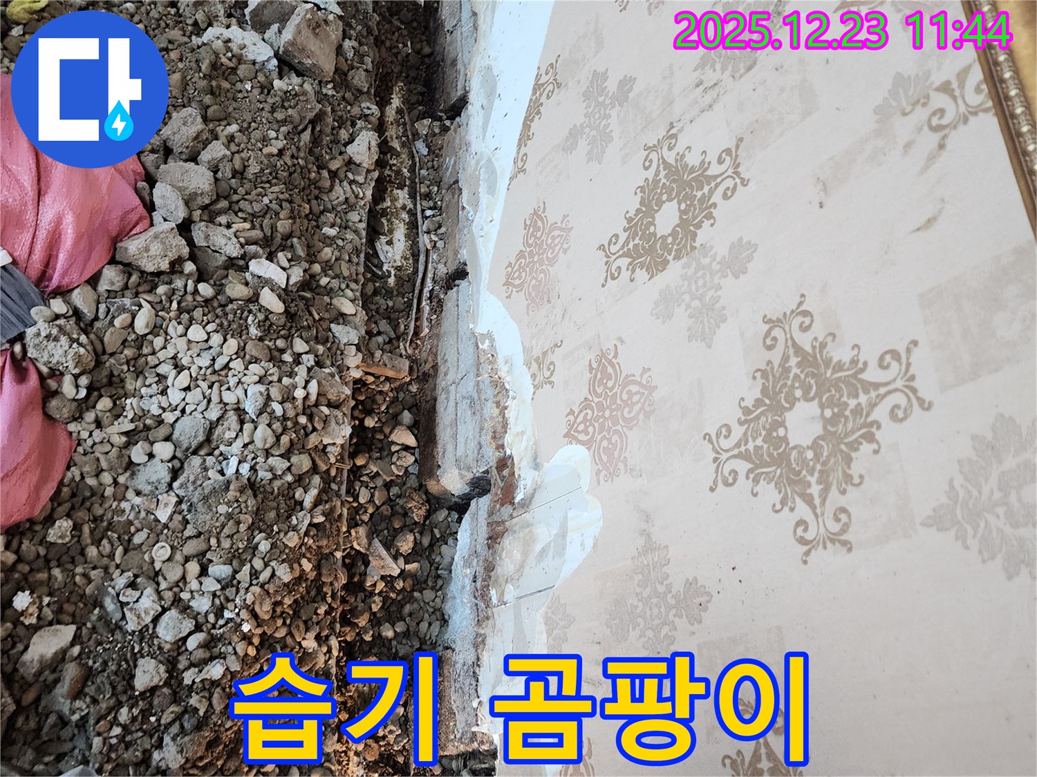 동두천 누수 - 천장 속 습기, 곰팡이 번식에 최적의 환경을 제공합니다!