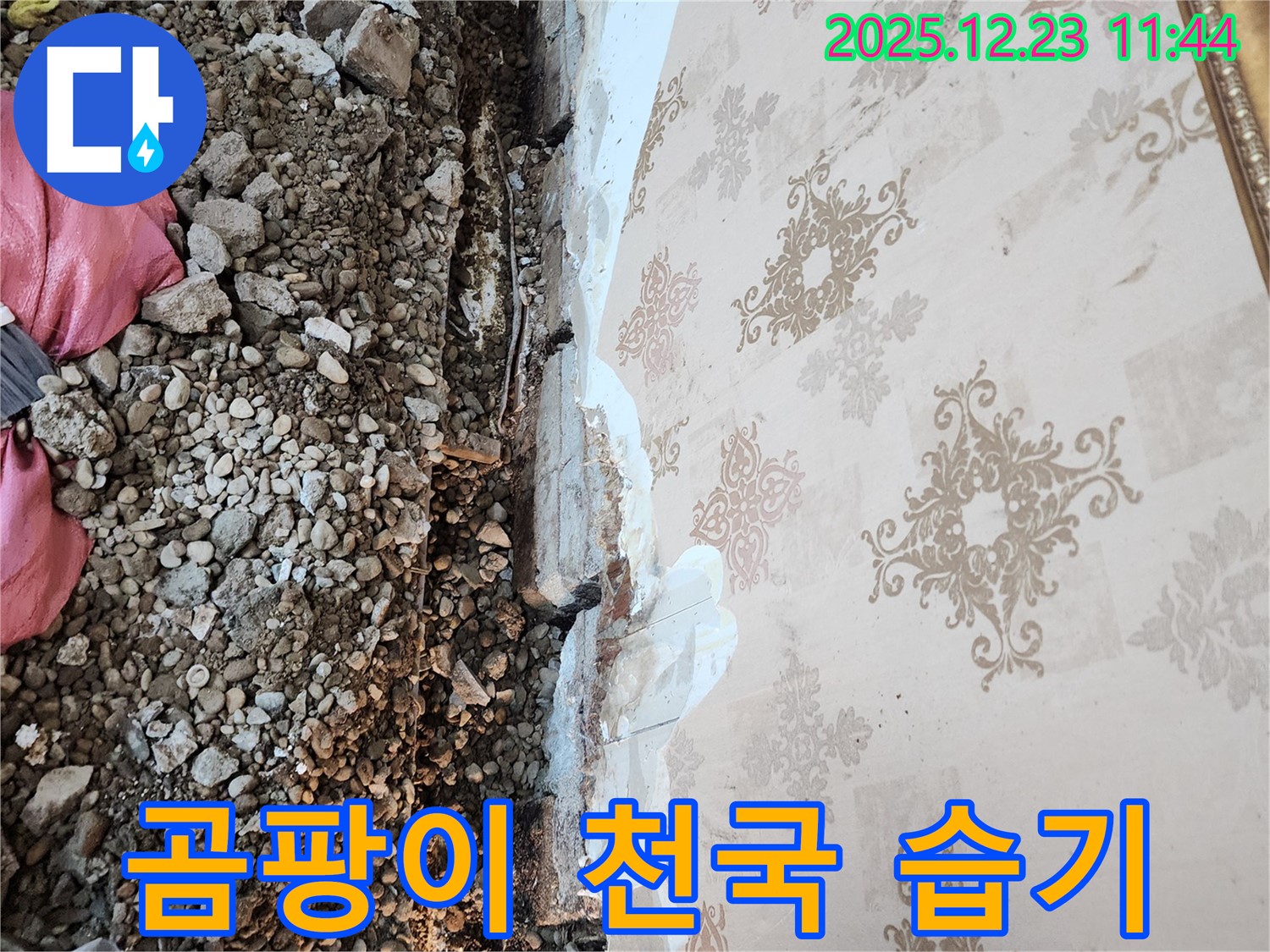동두천 누수 - 천장 속은 곰팡이 천국! 습기와 오염이 심각합니다.