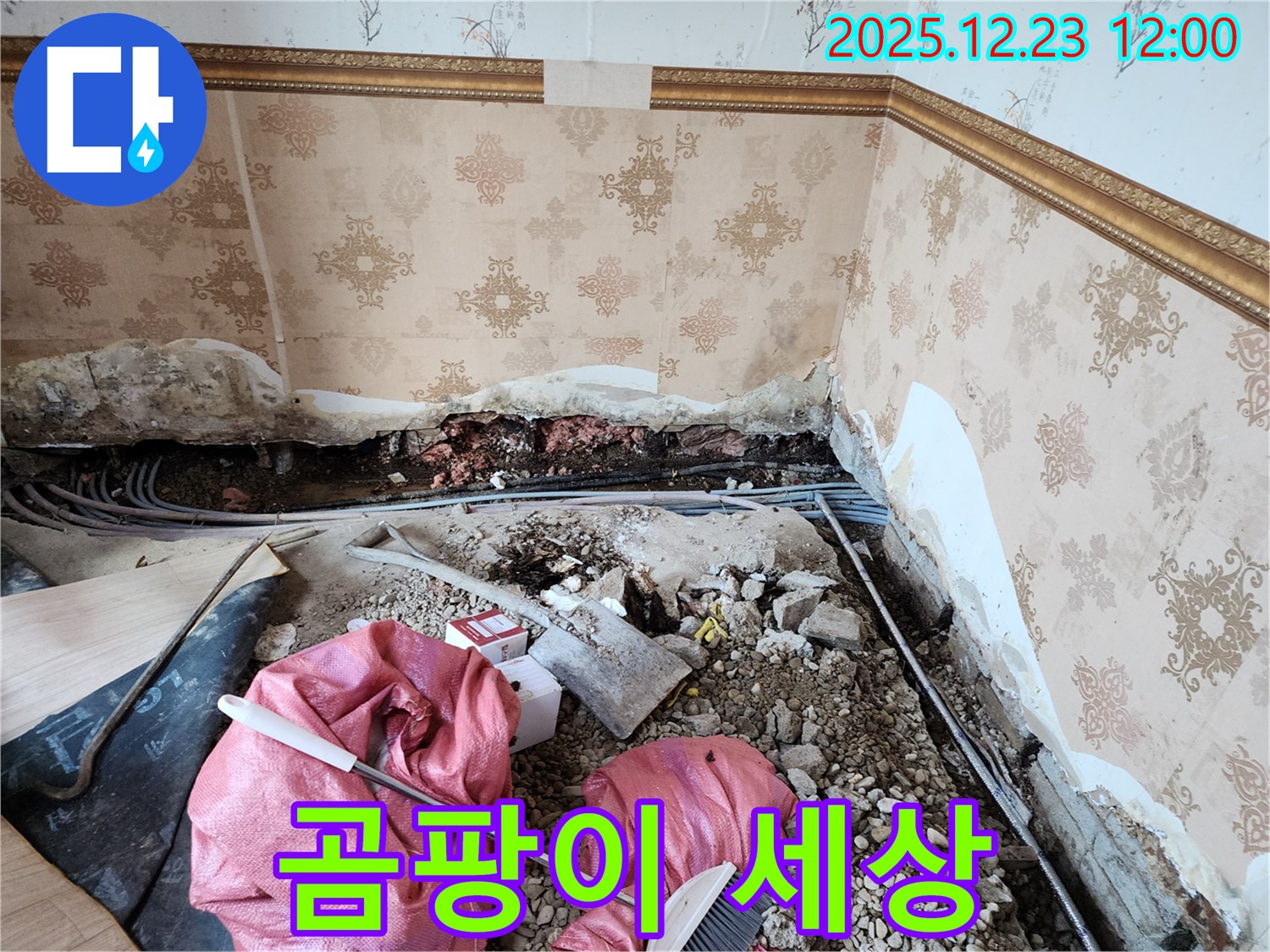 동두천 보산동 곰팡이 세상 - 누수 때문에 곰팡이가 심각하게 번식!