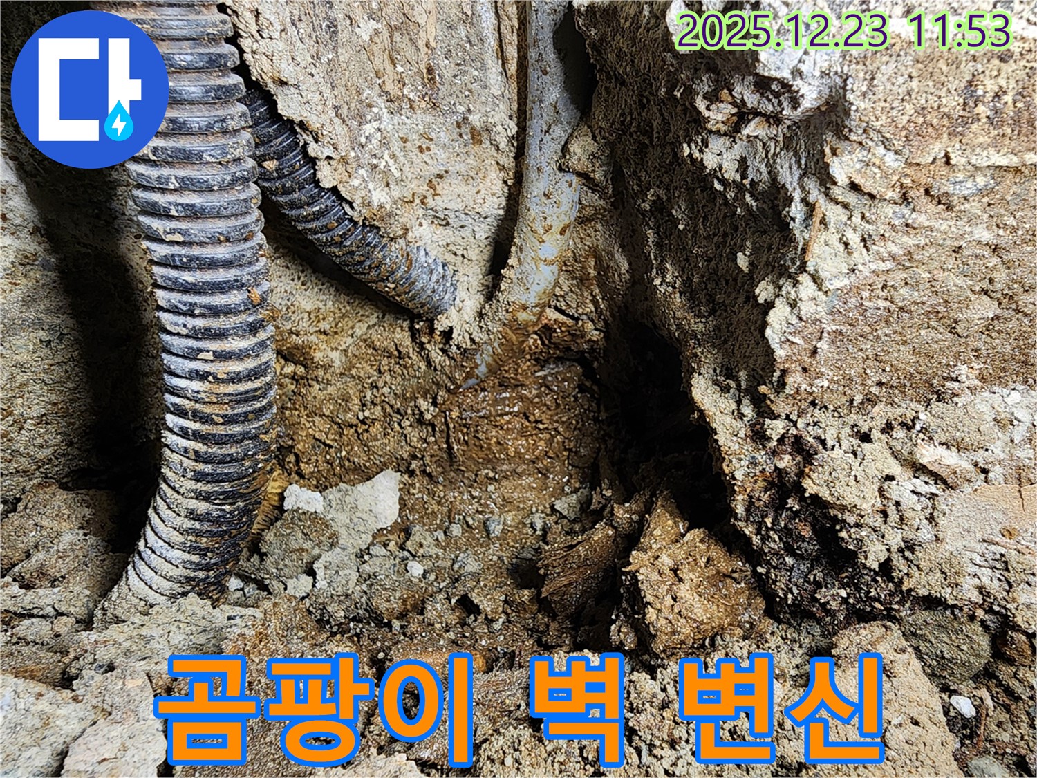 동두천 보산동 - 곰팡이 핀 벽, 누수 해결하고 쾌적한 공간으로 변신시켜 드립니다.