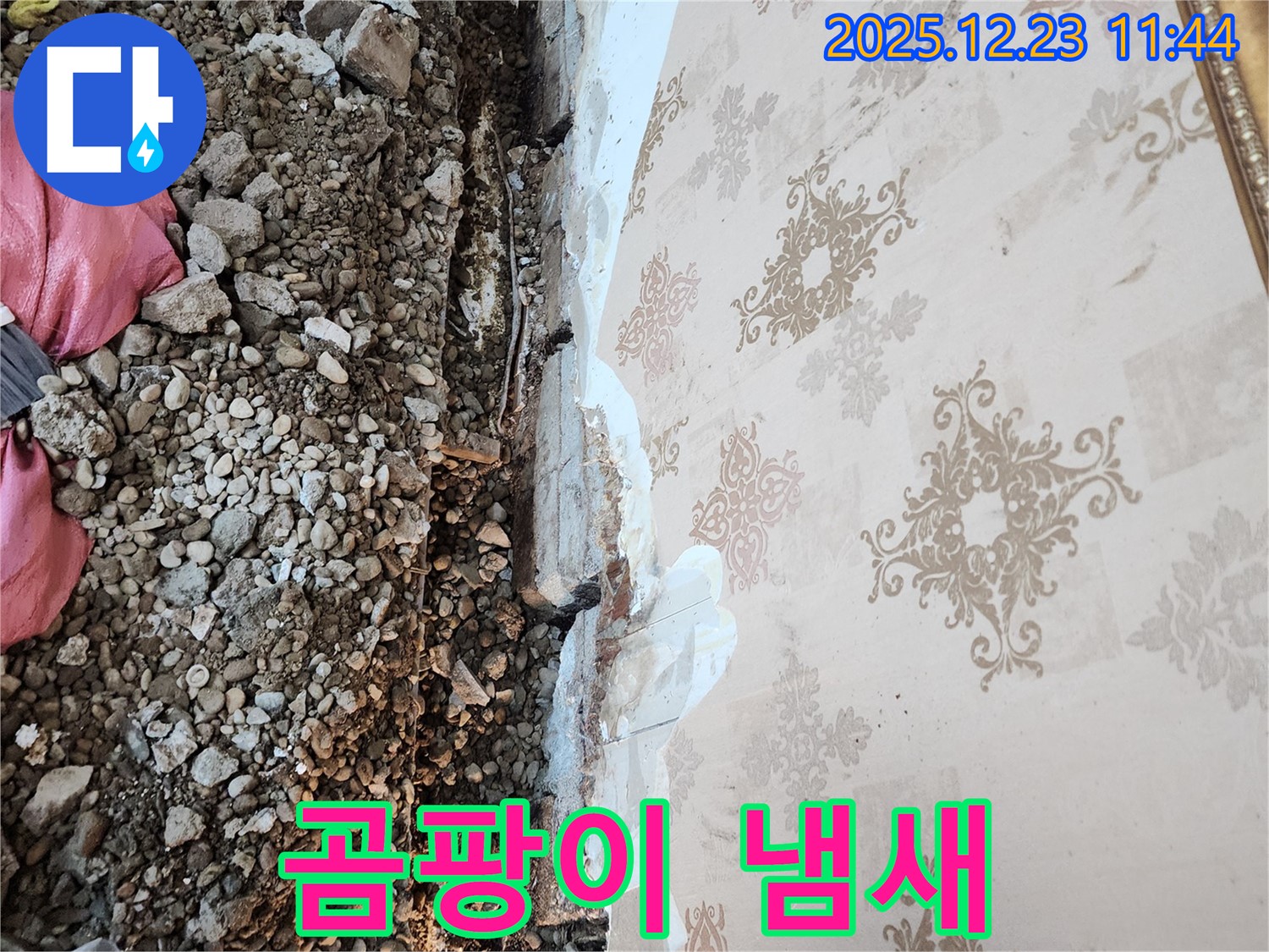 동두천 보산동 누수 - 곰팡이 냄새가 진동, 건강에 적신호가 켜졌습니다!