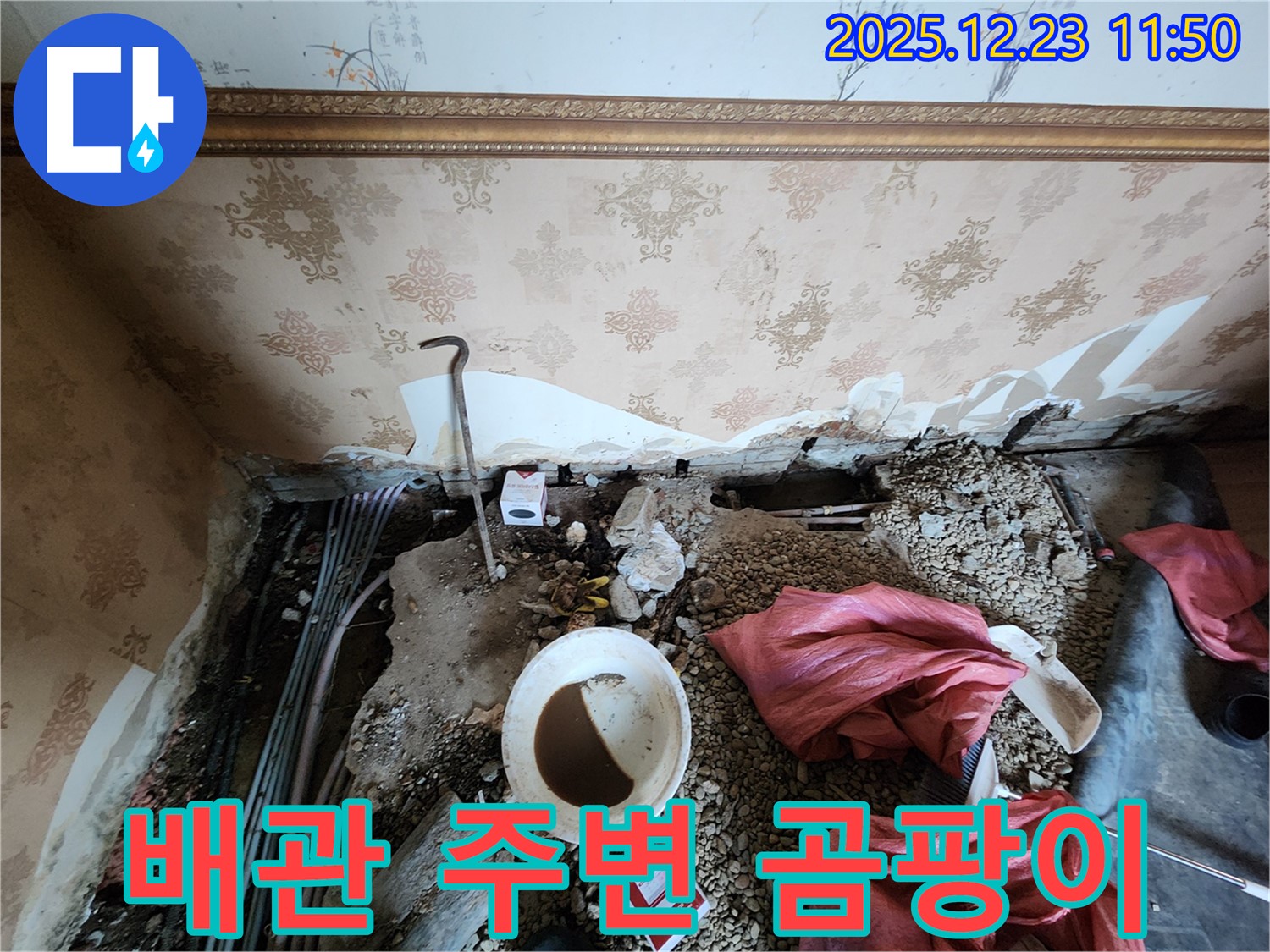 동두천 보산동 천장 누수 - 배관 주변에 핀 곰팡이