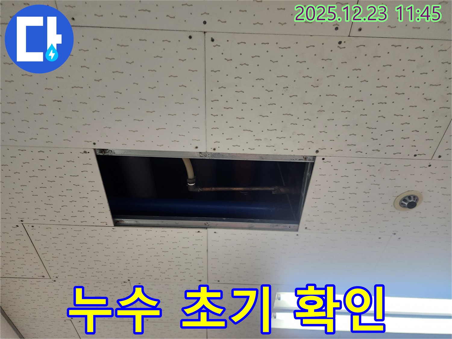 동두천시 보산동 천장 속 누수 - 신속한 현장 진입, 초기 확인