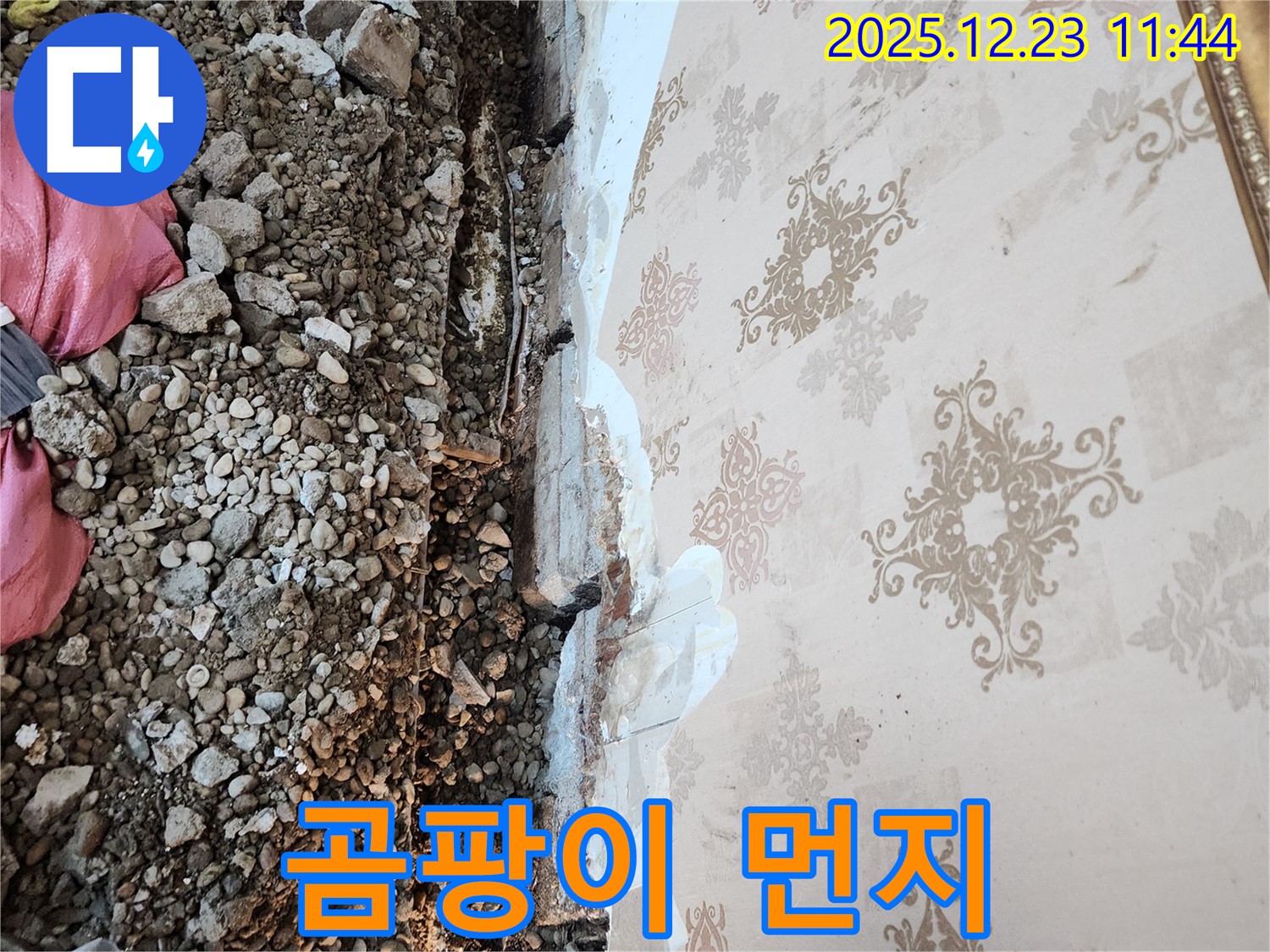 보산동 누수 - 천장 철거 후 드러난 곰팡이와 먼지의 충격적인 콜라보!