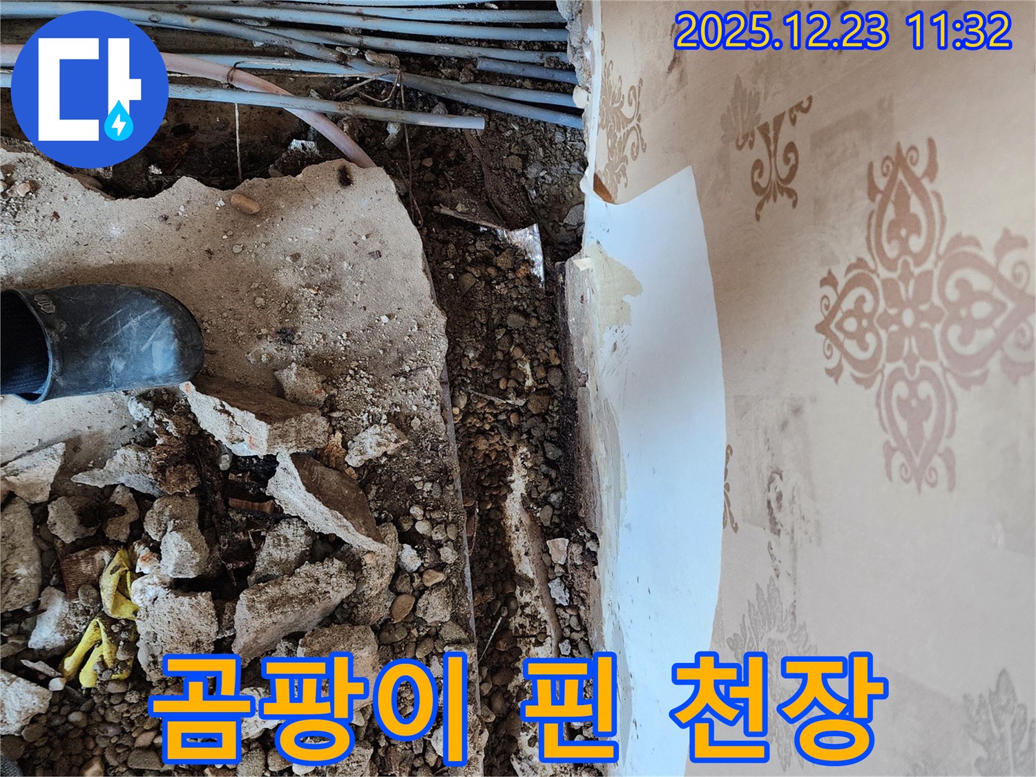 천장 누수 곰팡이 - 곰팡이가 핀 천장이 건강을 위협하고 있습니다.