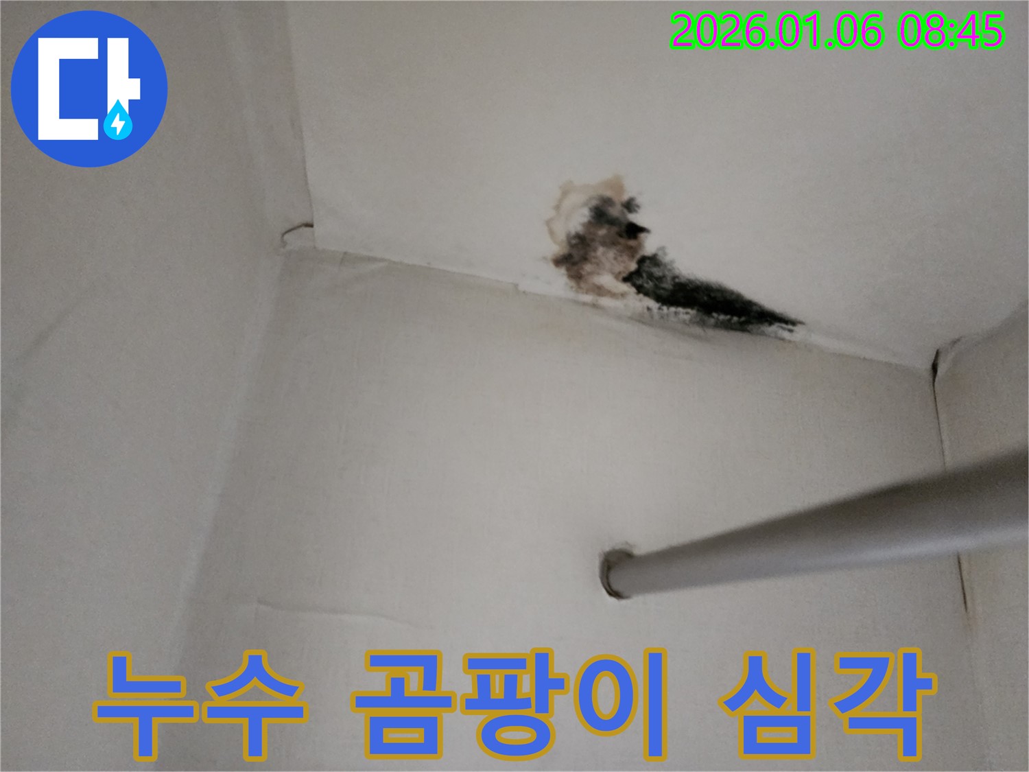 양주시 고암길 옷장 천장 누수 - 심각한 곰팡이와 누수 흔적