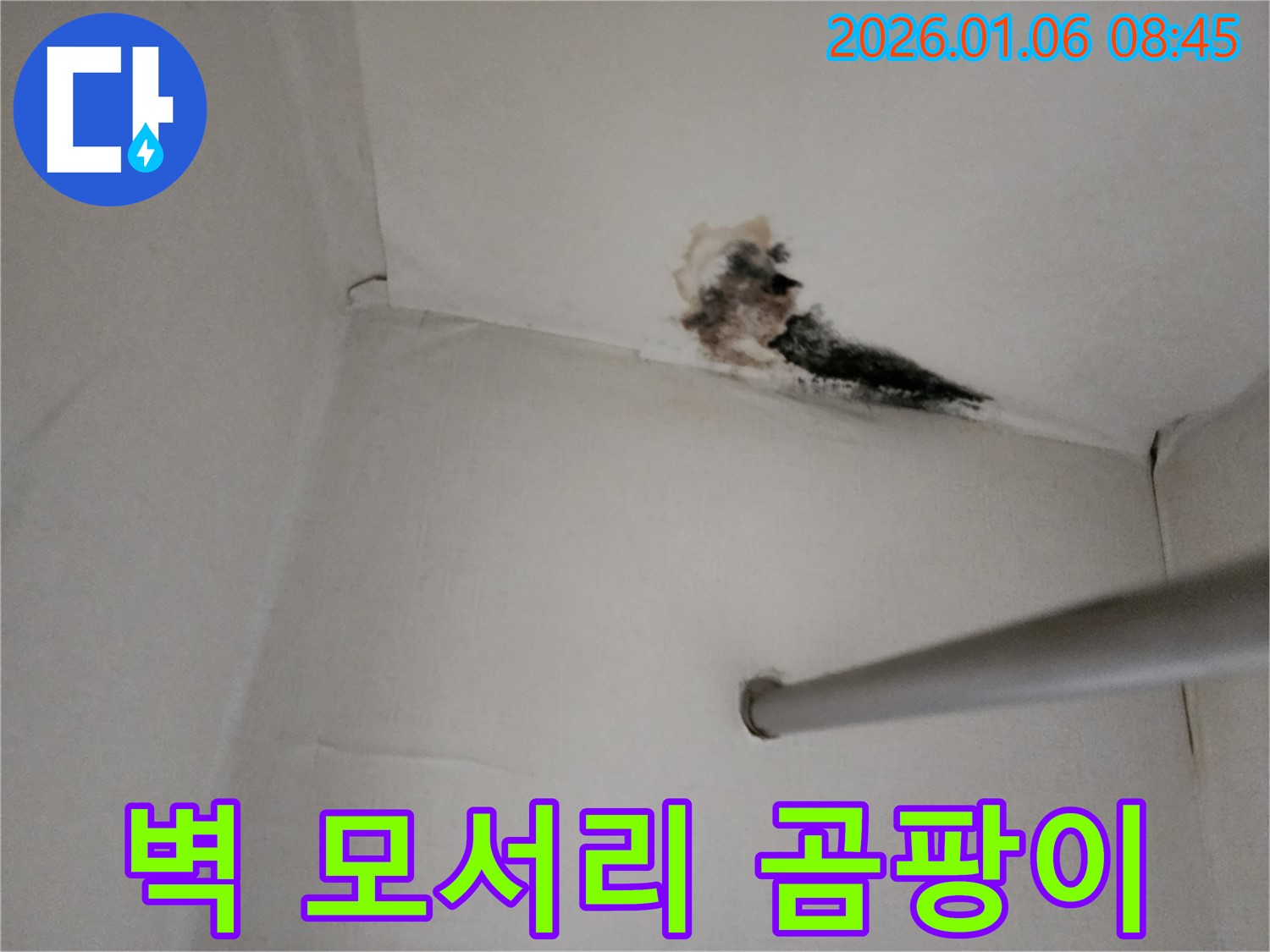 양주시 벽 모서리 누수 - 곰팡이로 뒤덮인 벽 모서리