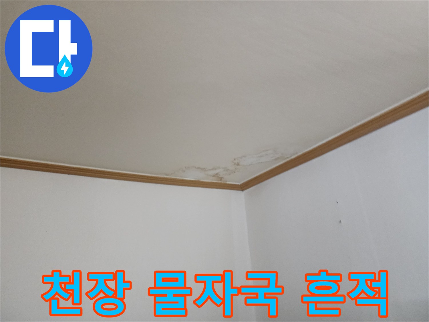 양주시 아랫집-천장 벽지 얼룩 상태