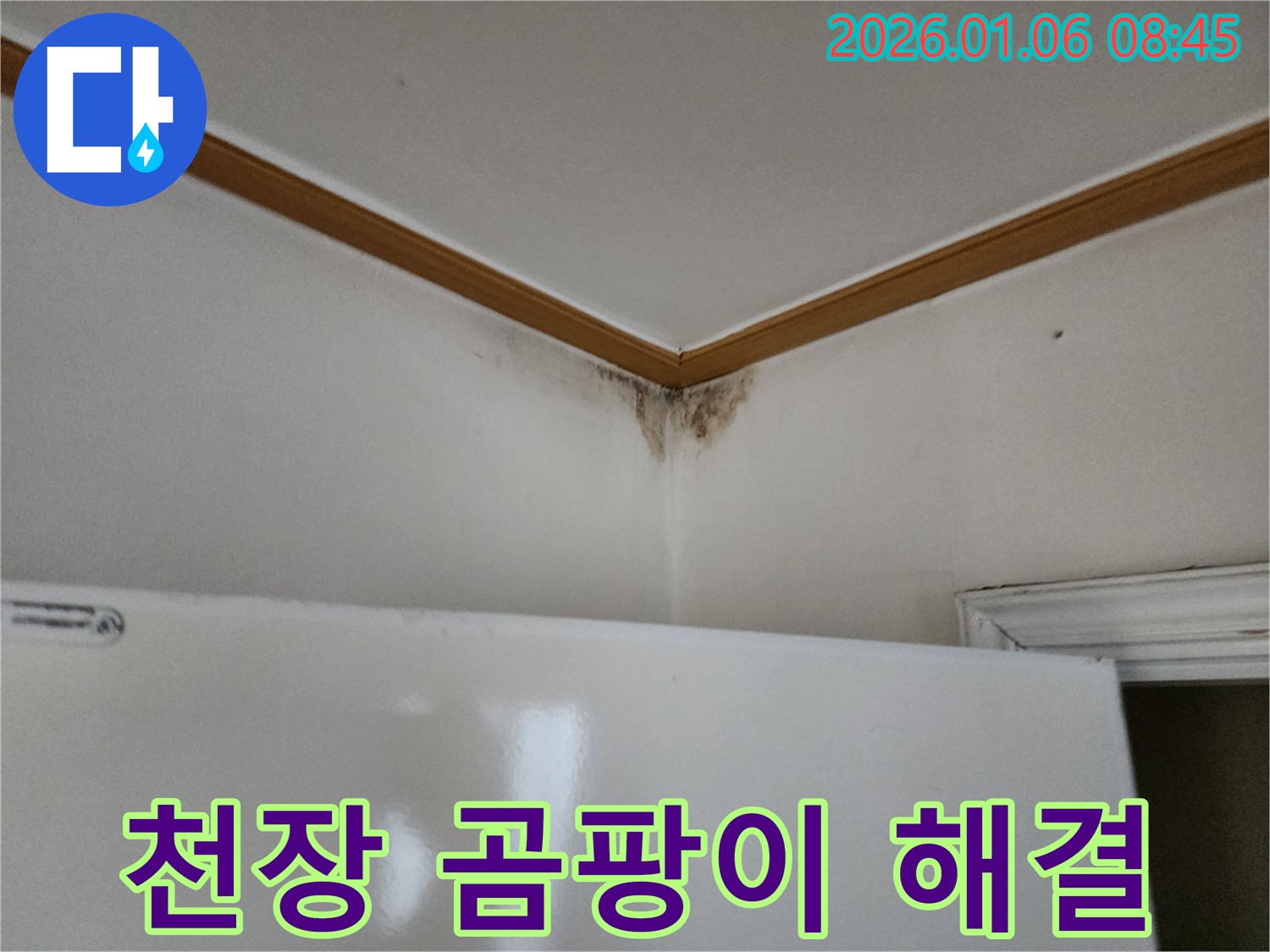 천장 곰팡이 - 누수 해결 전문 업체를 찾아주세요.