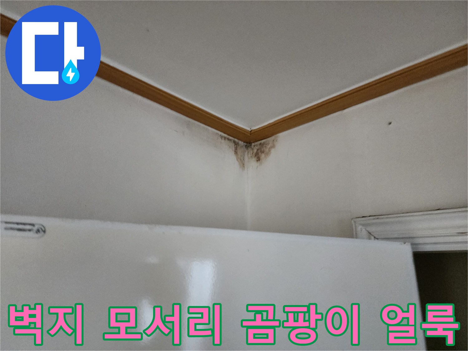 하얀 벽지와 몰딩 사이의 검은색 곰팡이 오염 부위