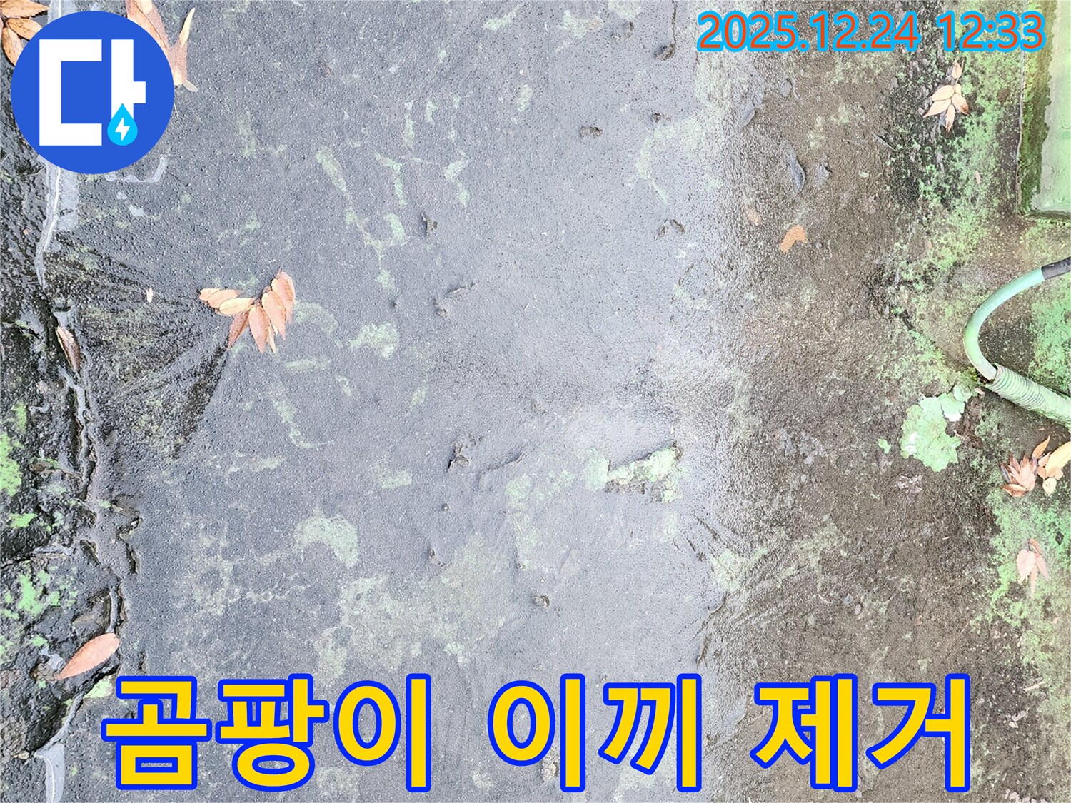 곰팡이와 이끼 제거 - 깨끗한 옥상으로.