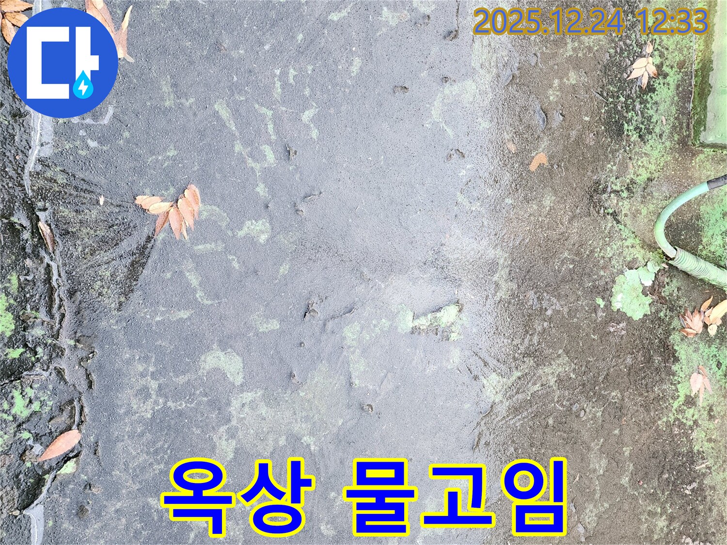 옥상 물고임 - 방수층 손상의 신호입니다.