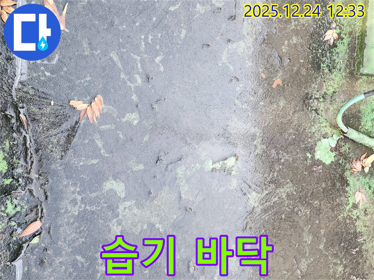 옥상 습기 - 누수 진행 중
