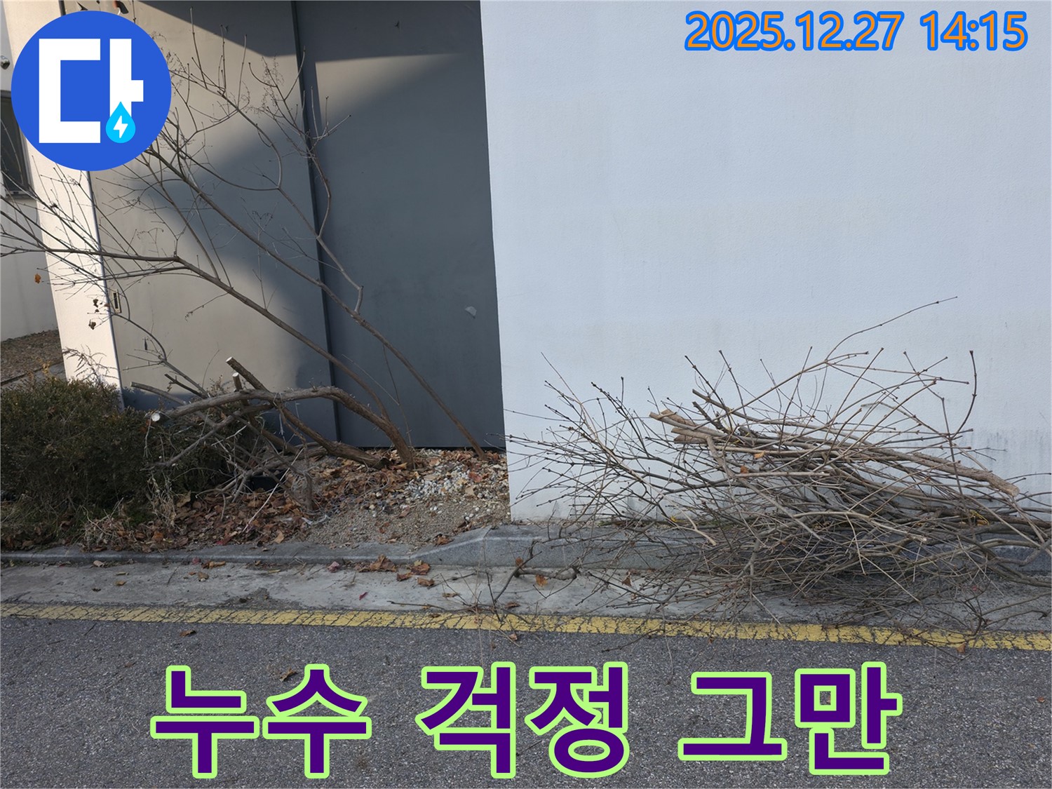 외벽 주변 나뭇가지 - 누수 걱정은 이제 그만!
