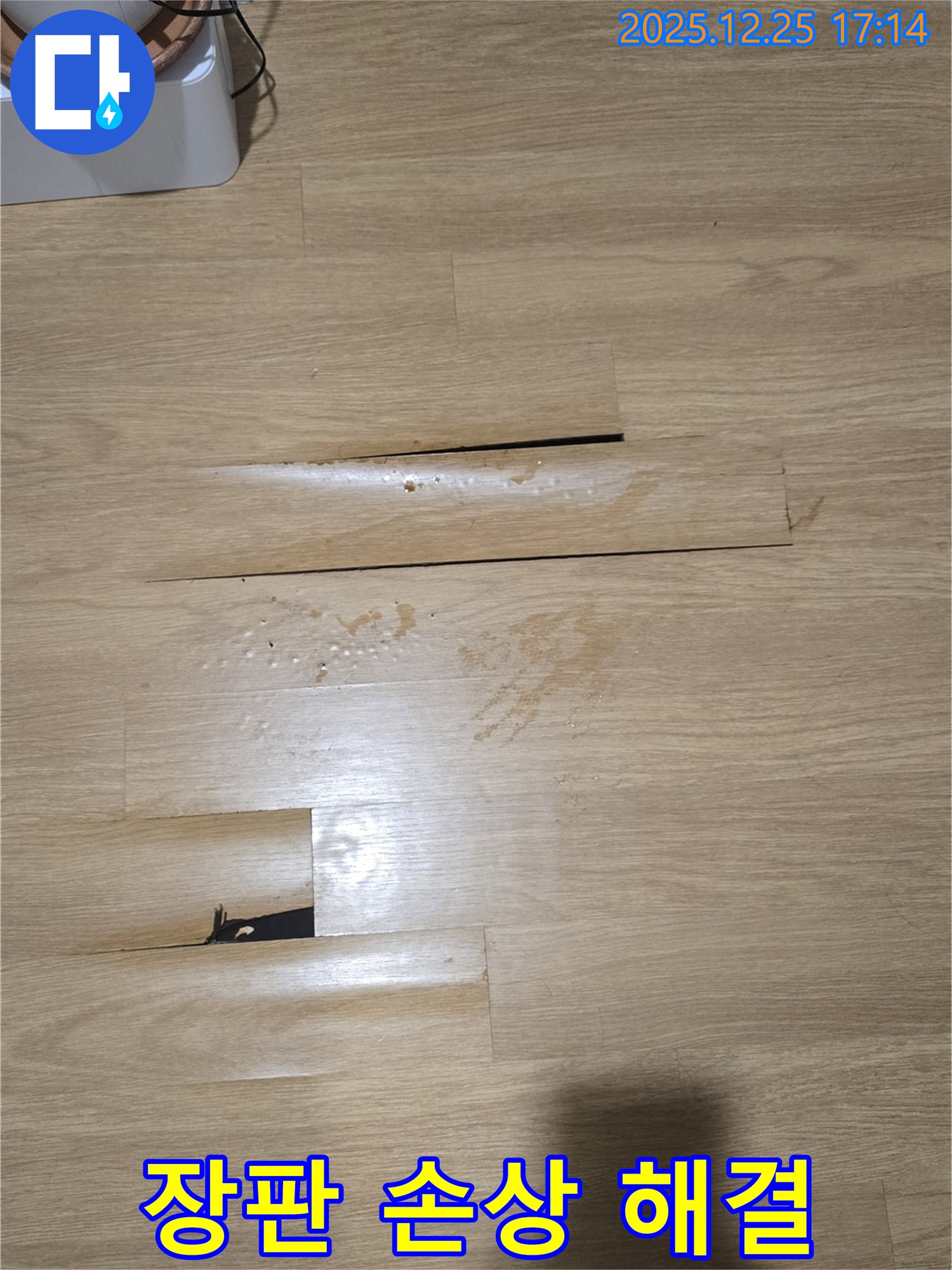 남양주 아파트 누수 현장 - 장판 손상의 원인부터 해결까지 책임지는 모습입니다.