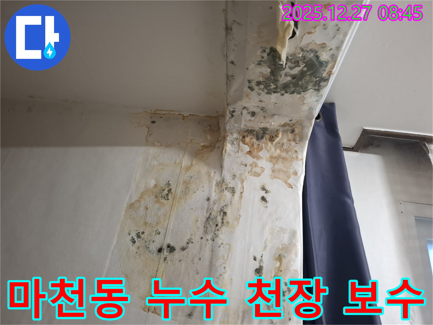 마천동 누수 현장 - 곰팡이 슨 천장 긴급 보수, 누수탐지 전문가의 신속한 복구