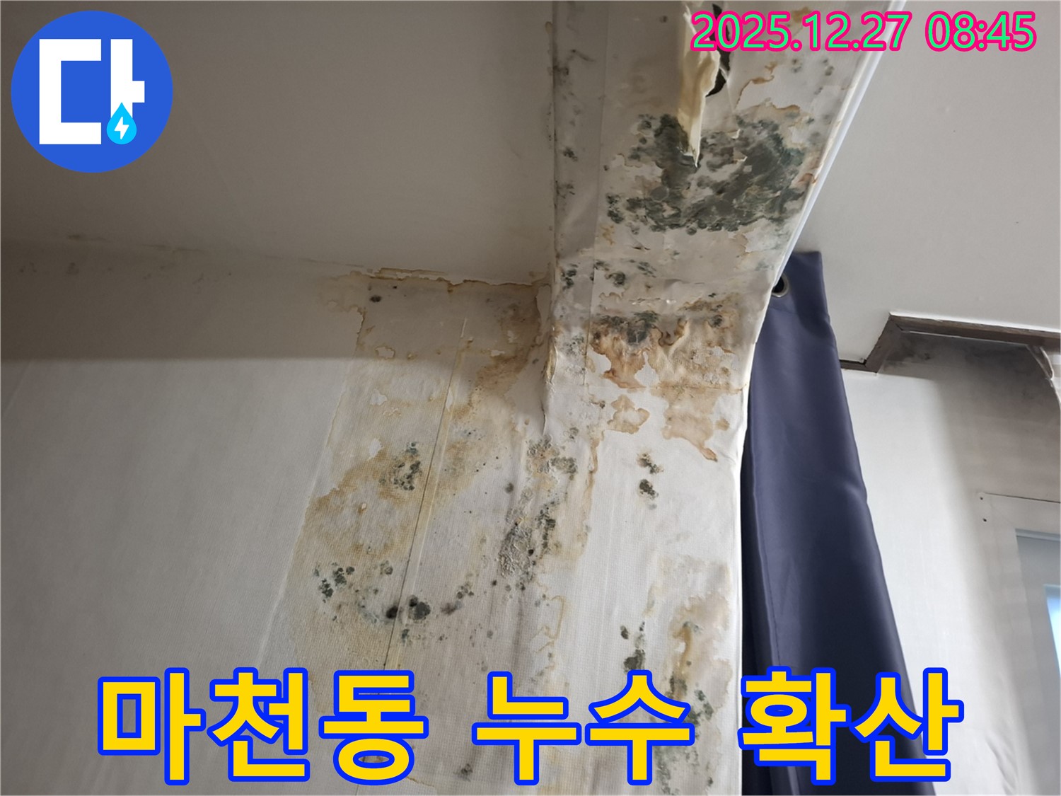 마천동 누수 현장 - 곰팡이 확산 방지 및 완벽 제거 솔루션, 누수탐지 전문가의 확실한 해결