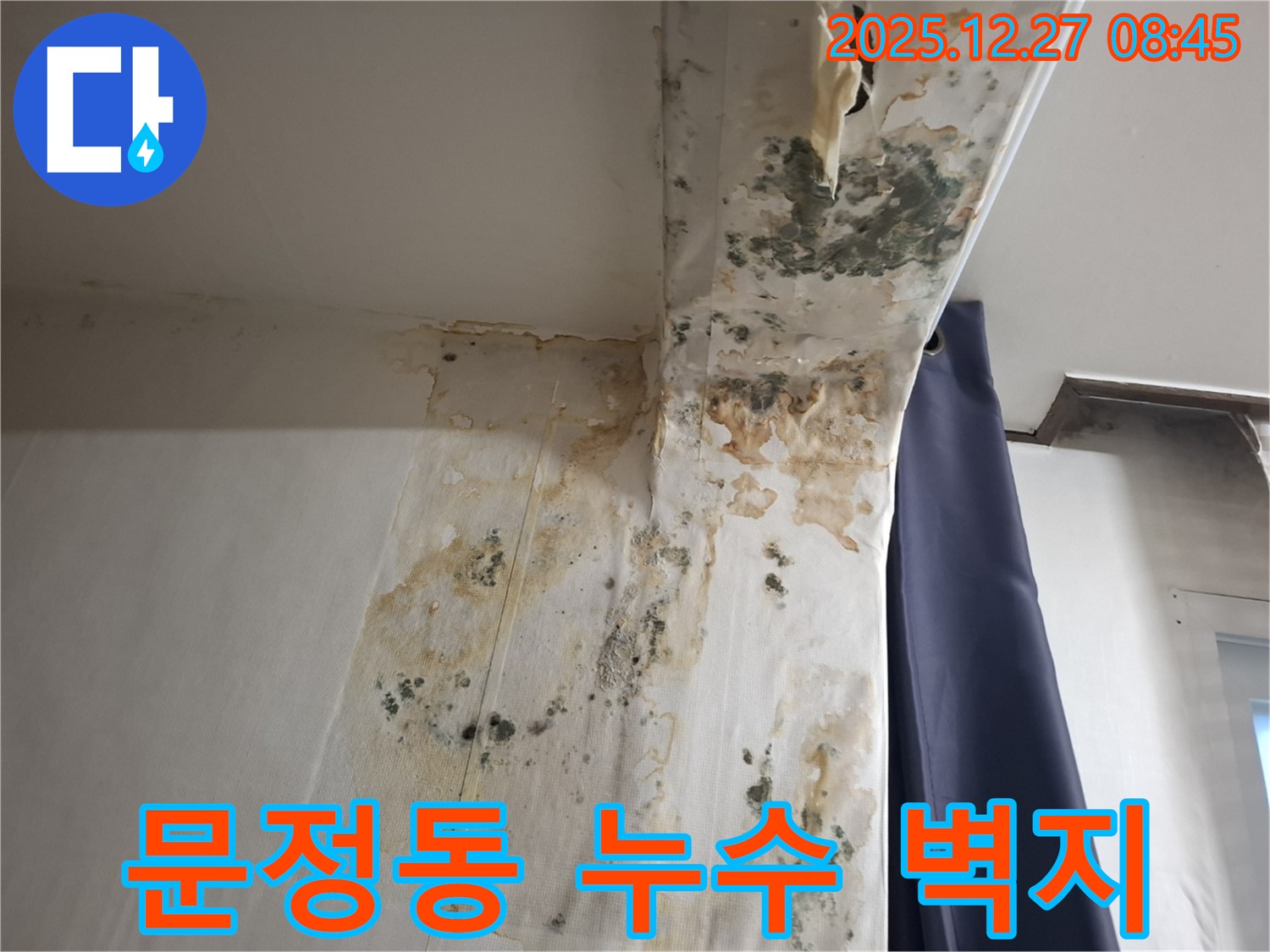 문정동 누수 현장 - 곰팡이 슨 벽지 교체 및 방습 시공, 누수탐지 전문가의 쾌적한 공간 만들기