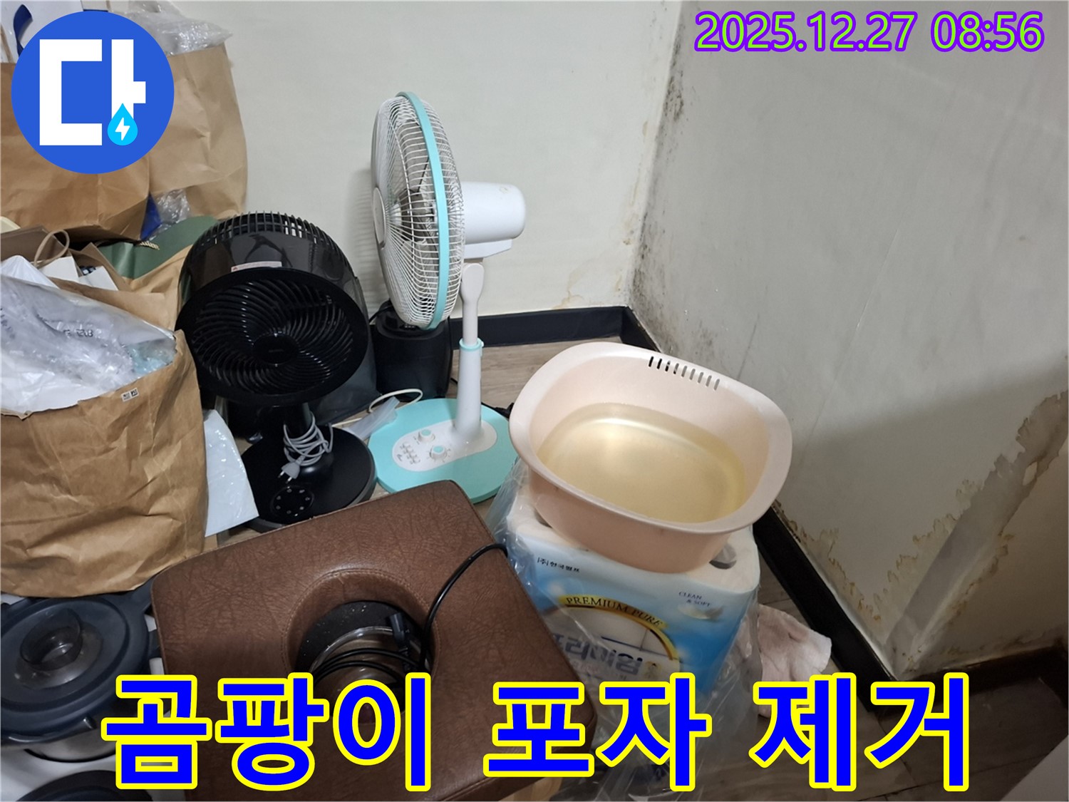 삼전동 누수 현장 - 곰팡이 제거, 곰팡이 포자까지 완벽하게 제거! - 깨끗한 마무리.