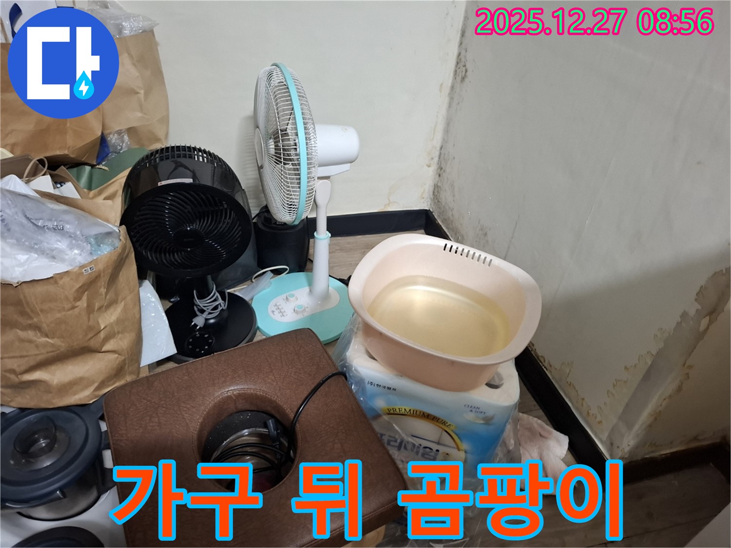 송파구 삼전동 누수 현장 - 가구 뒤 곰팡이 - 숨어있는 곰팡이까지 싹! - 꼼꼼한 시공.