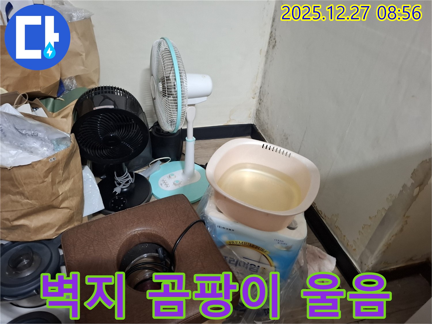 송파구 삼전동 누수 현장 - 곰팡이 때문에 벽지가 울어요! - 벽지 속 곰팡이까지 제거해야 합니다.