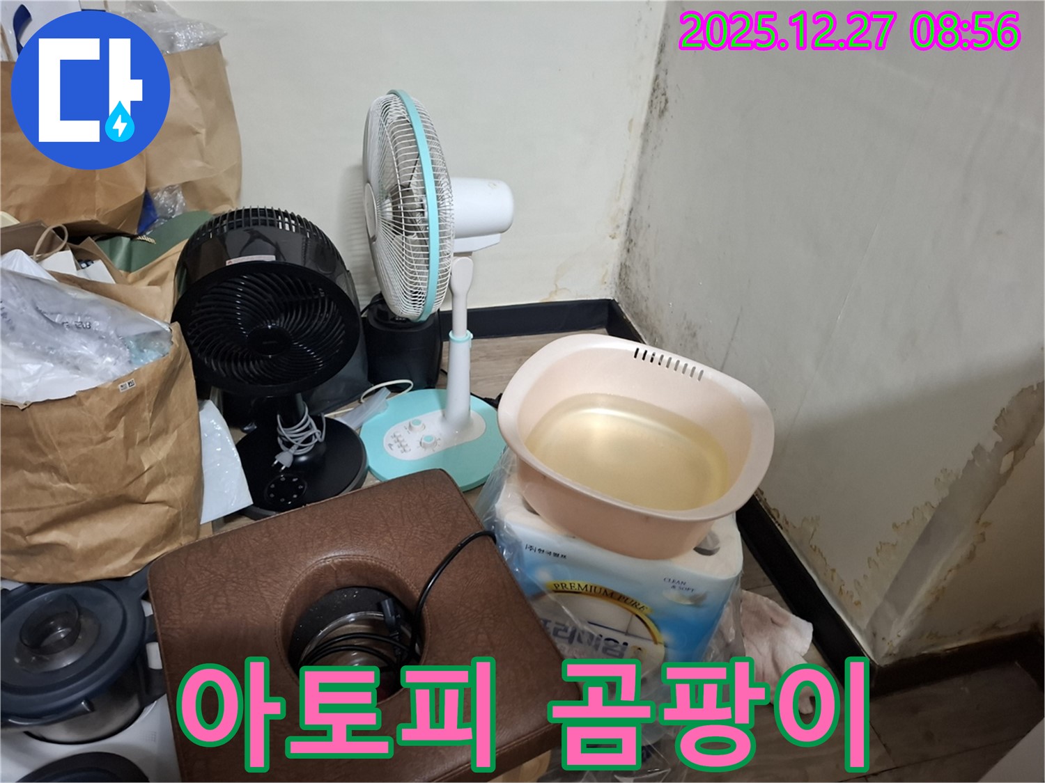 송파구 삼전동 누수 현장 - 곰팡이 때문에 아토피가 심해졌어요! - 곰팡이 제거가 필수입니다.