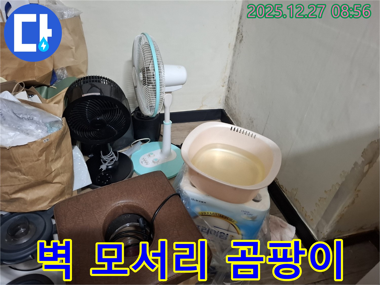 송파구 삼전동 누수 현장 - 벽 모서리 곰팡이 - 습기와의 싸움 - 곰팡이 제거 전문가.