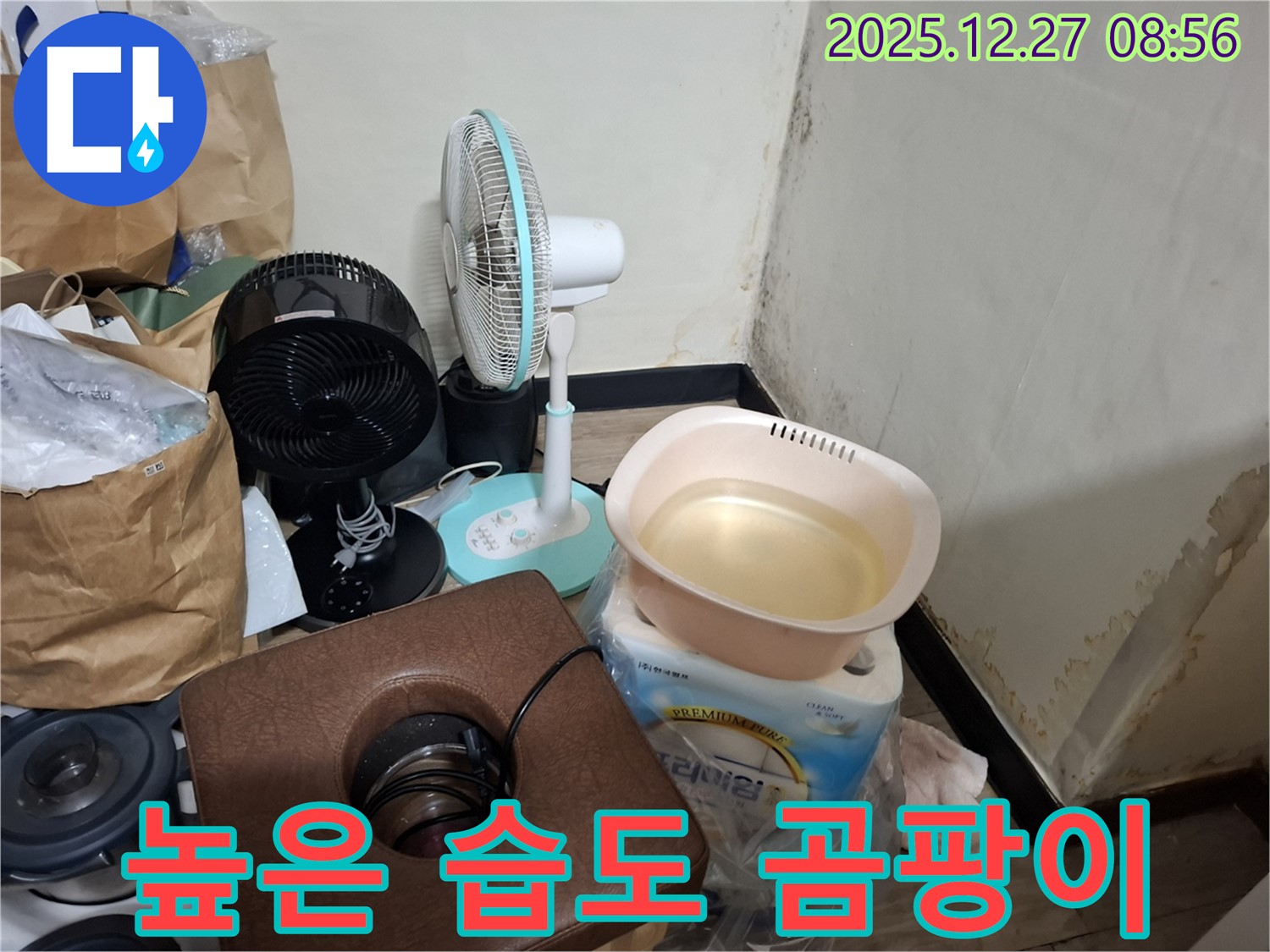 송파구 삼전동 누수 현장 - 우리 집 습도가 높아서 곰팡이가 생겼을까요? - 습도 관리 중요.