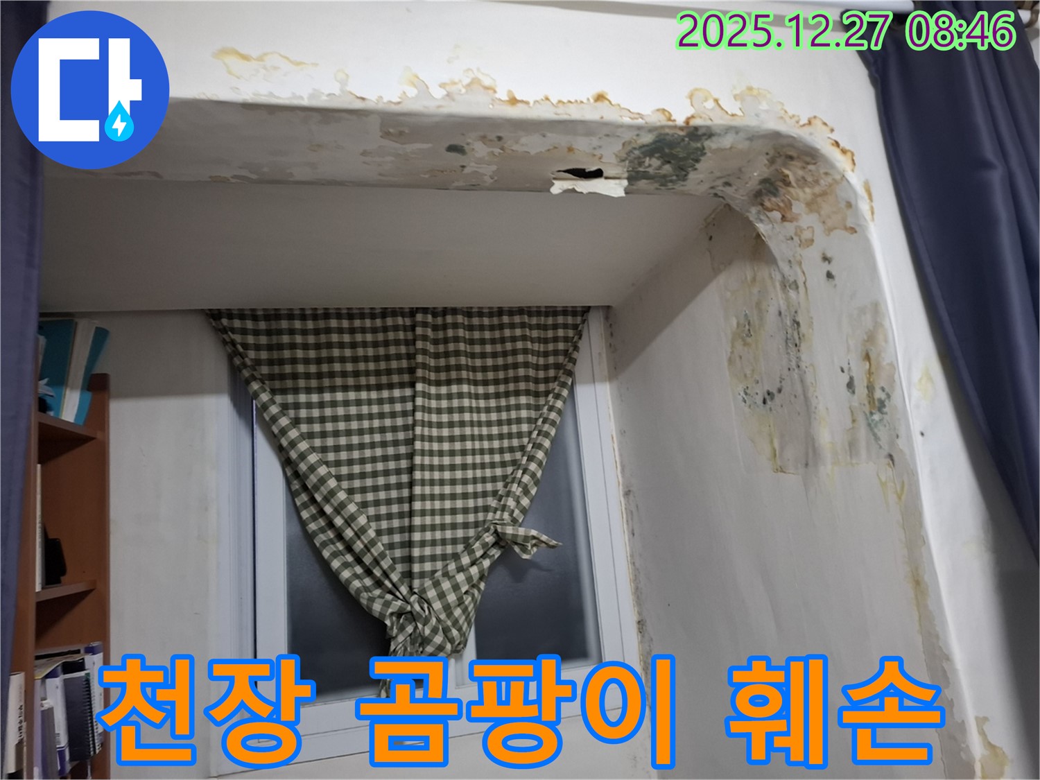 송파구 석촌동 - 곰팡이와 훼손된 천장 - 누수 의심