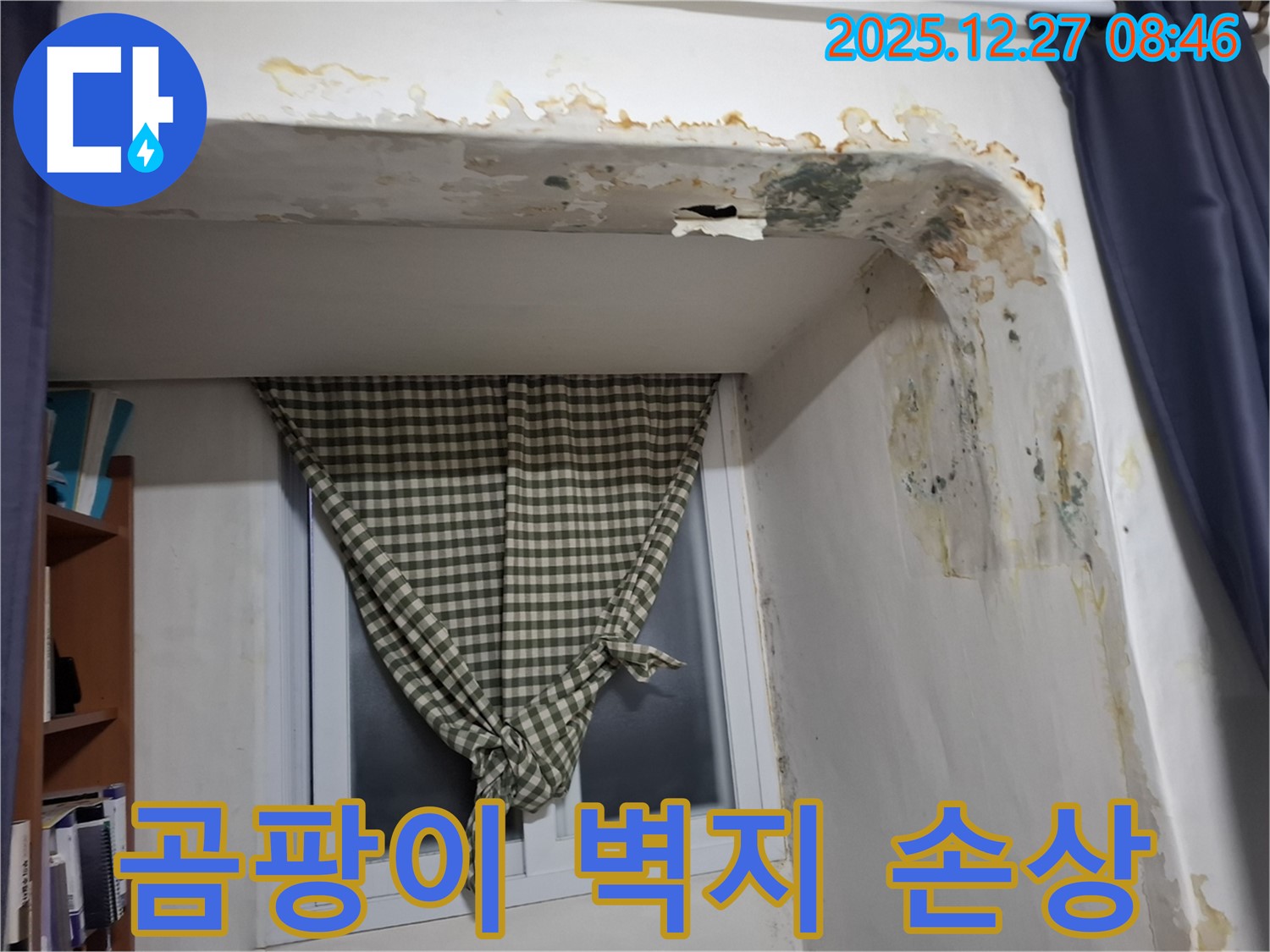 송파구 오금동 - 곰팡이 발생 및 벽지 손상으로 인한 누수 의심