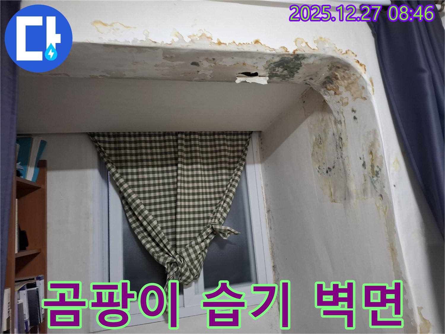 송파구 잠실본동 - 곰팡이와 습기로 얼룩진 벽면 - 누수 의심