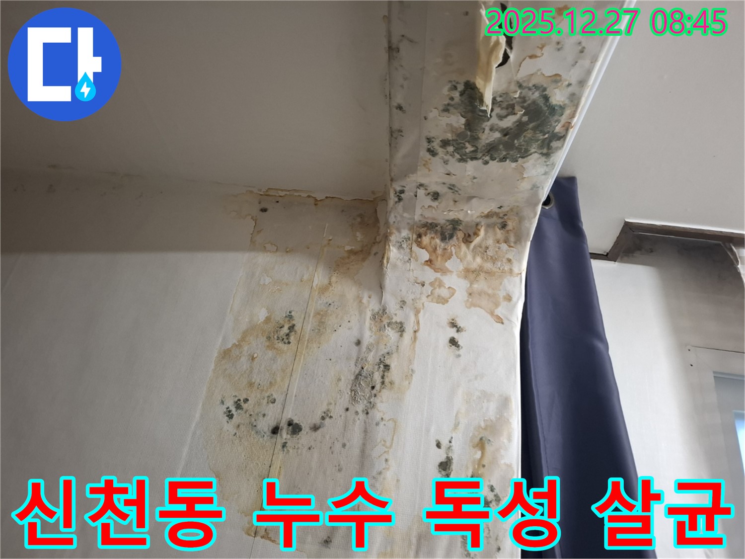 신천동 누수 현장 - 곰팡이 독성 물질 제거 및 실내 살균, 누수탐지 전문가의 위생적인 시공