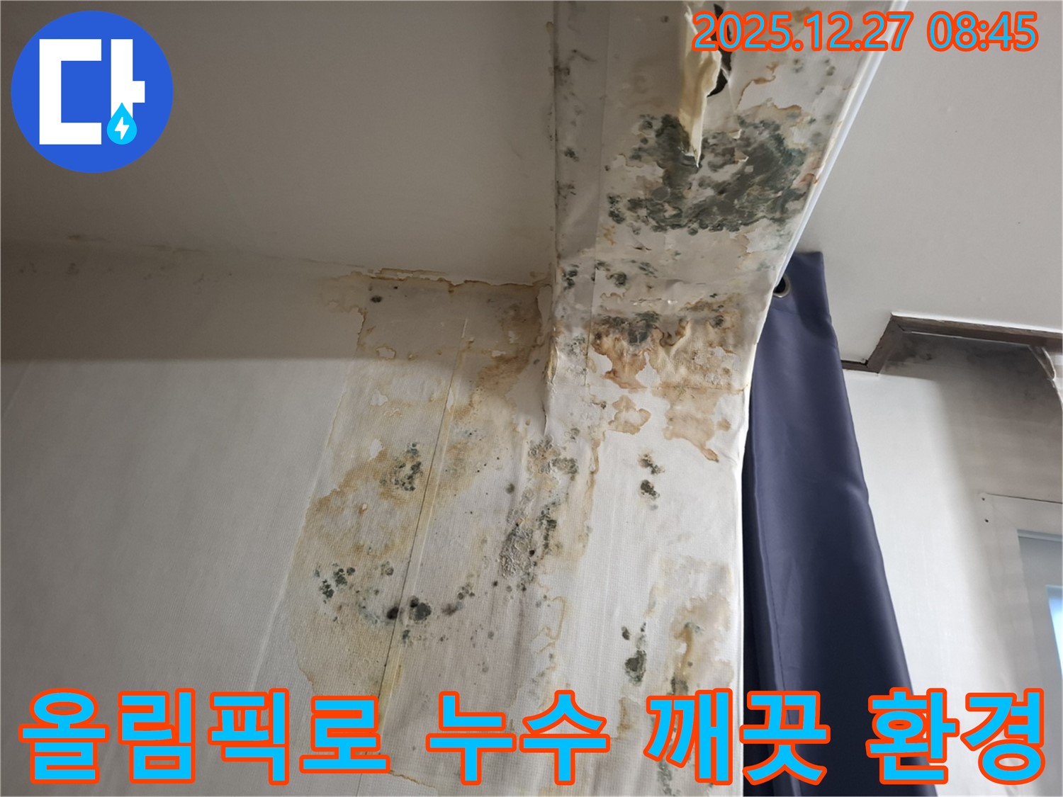 올림픽로 누수 현장 - 곰팡이 문제 해결 후 깨끗한 환경 조성, 누수탐지 전문가의 쾌적한 공간 만들기