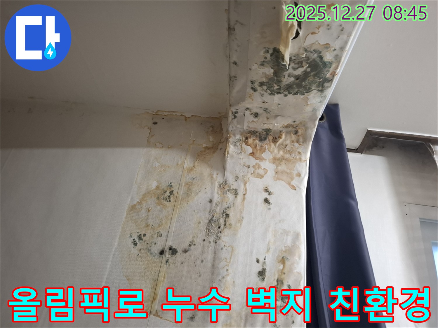 올림픽로 누수 현장 - 곰팡이 슨 벽지 교체 및 친환경 시공, 누수탐지 전문가의 쾌적한 공간 만들기