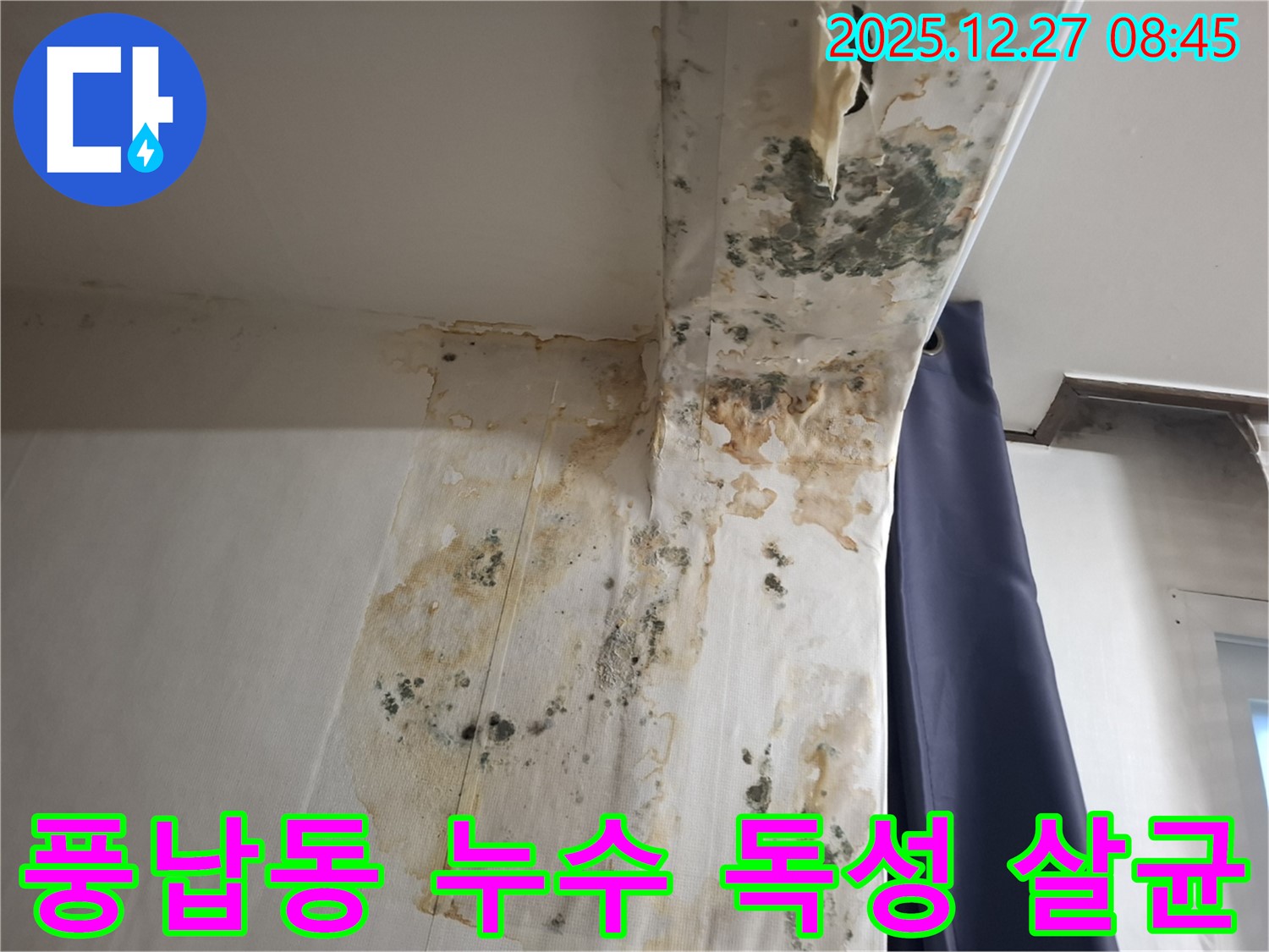 풍납동 누수 현장 - 곰팡이 독성 물질 제거 및 실내 살균, 누수탐지 전문가의 위생적인 시공