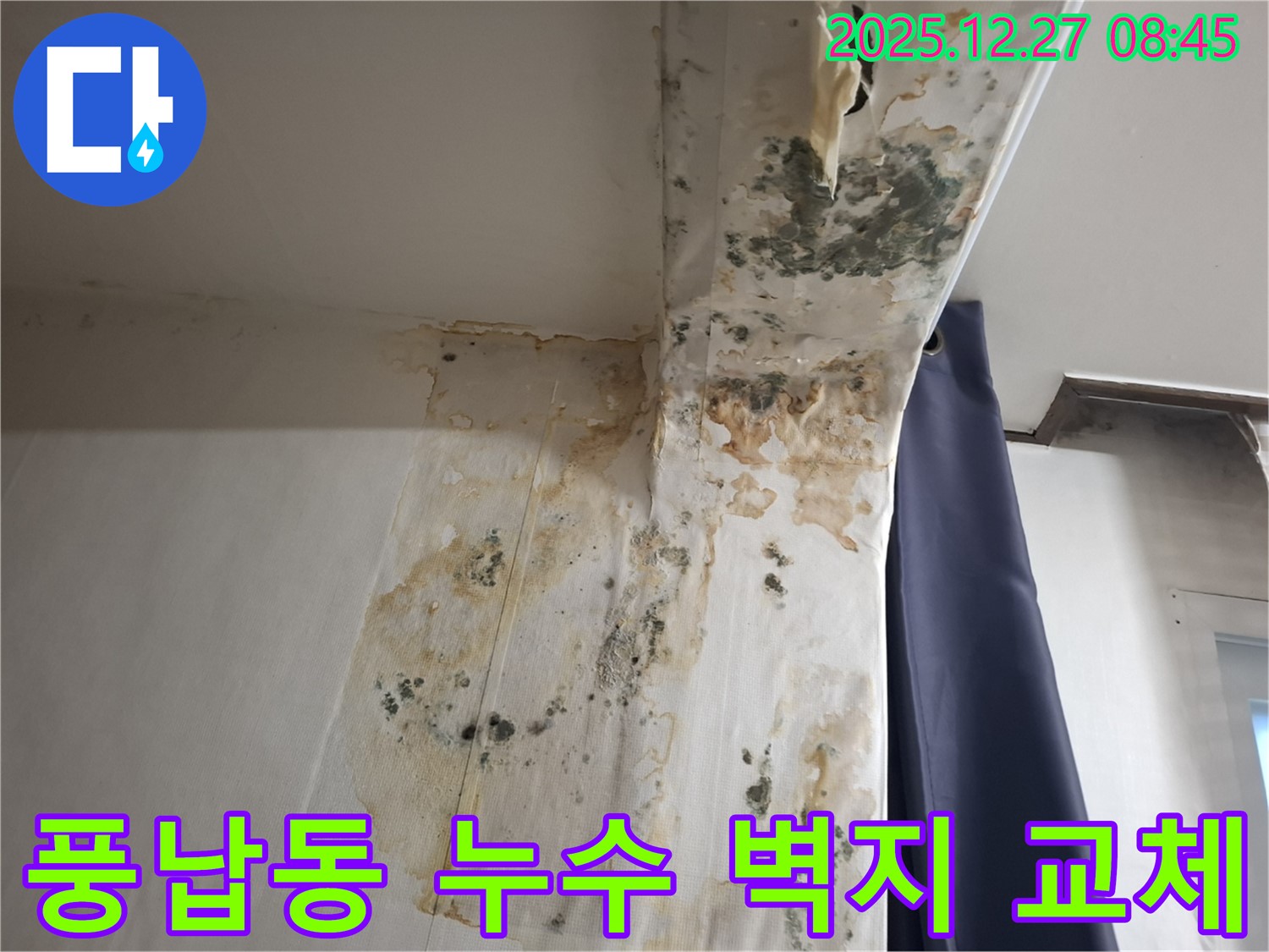 풍납동 누수 현장 - 곰팡이 슨 벽지 교체 및 방습 시공, 누수탐지 전문가의 쾌적한 공간 만들기
