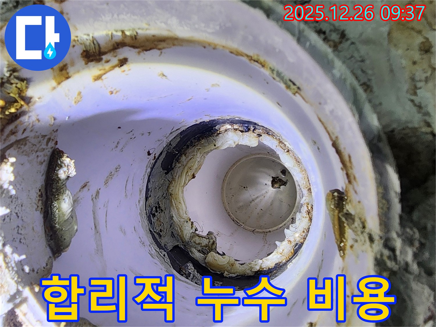 노원구 상계동 합리적인 누수 비용 - 투명한 견적과 확실한 시공