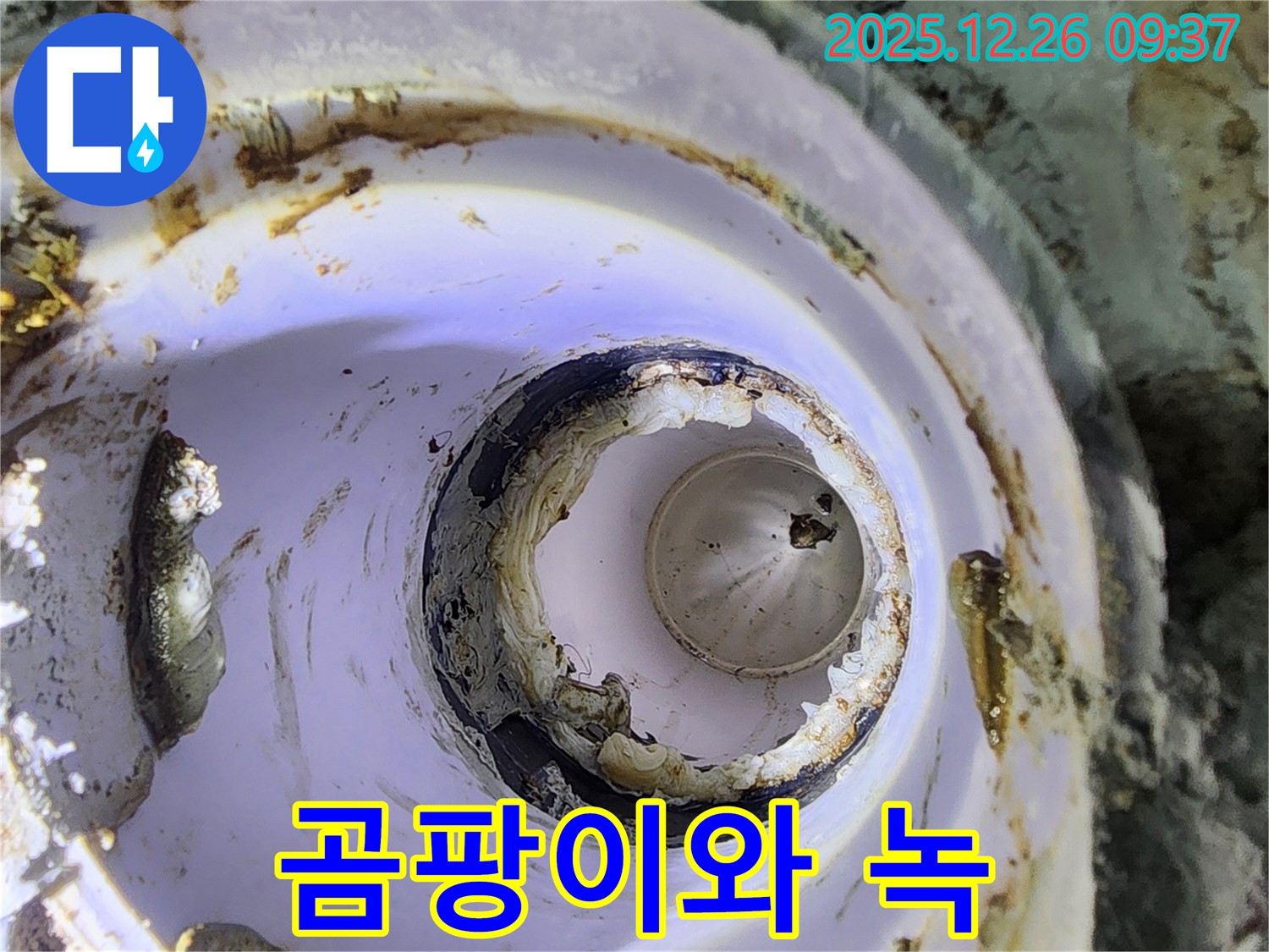 상계1동 배관 - 곰팡이와 녹으로 뒤덮임
