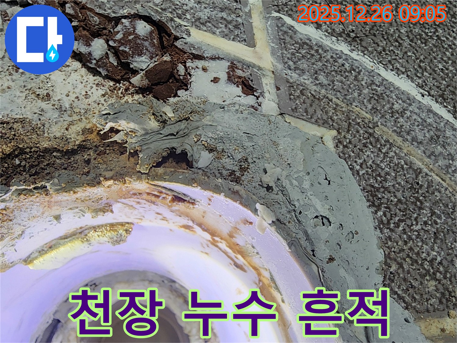 상계1동 천장 누수 - 누수 흔적과 주변 손상