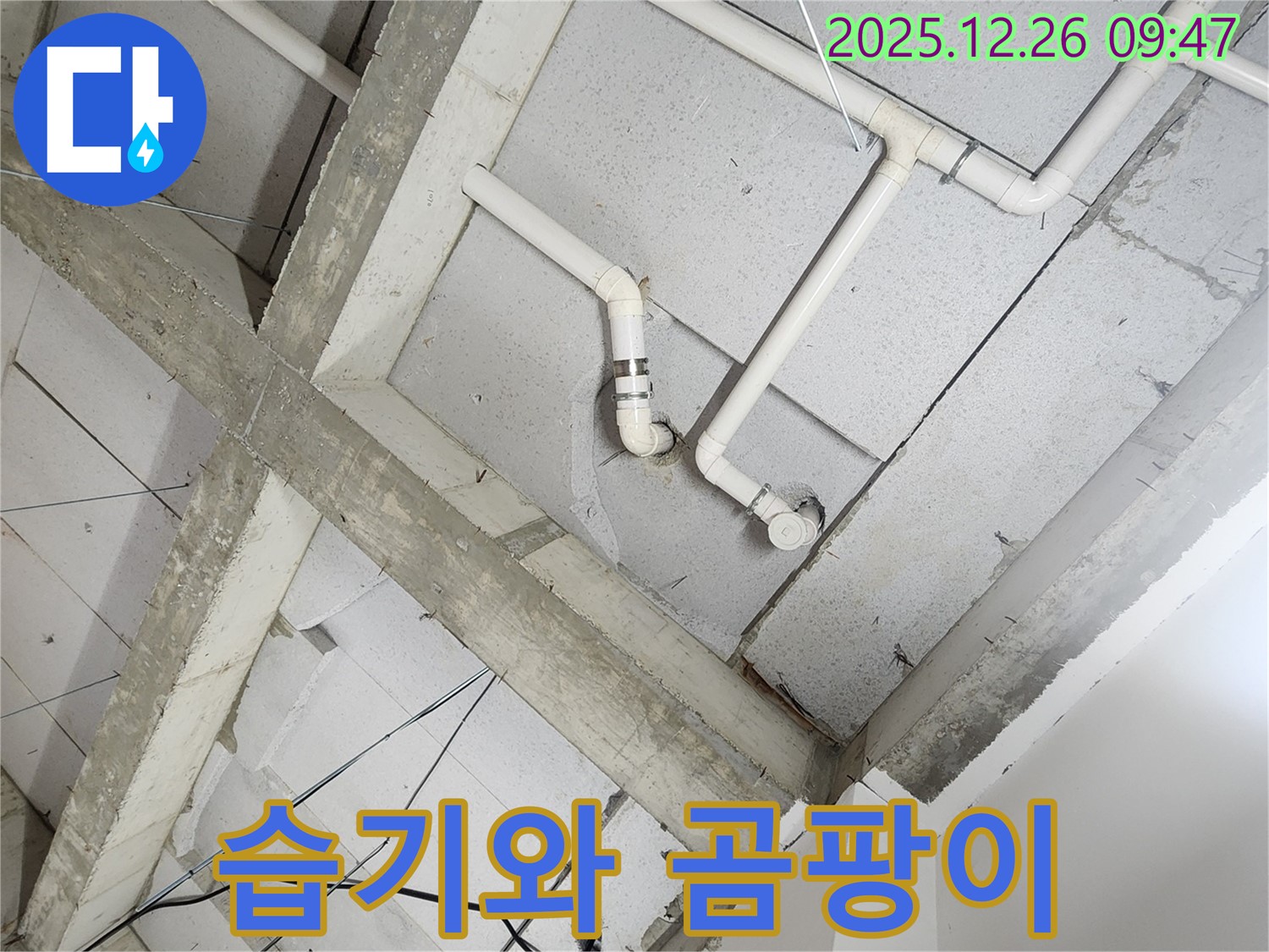 상계1동 천장 누수 - 장마철 습기와 곰팡이의 콜라보, 건강 적신호!