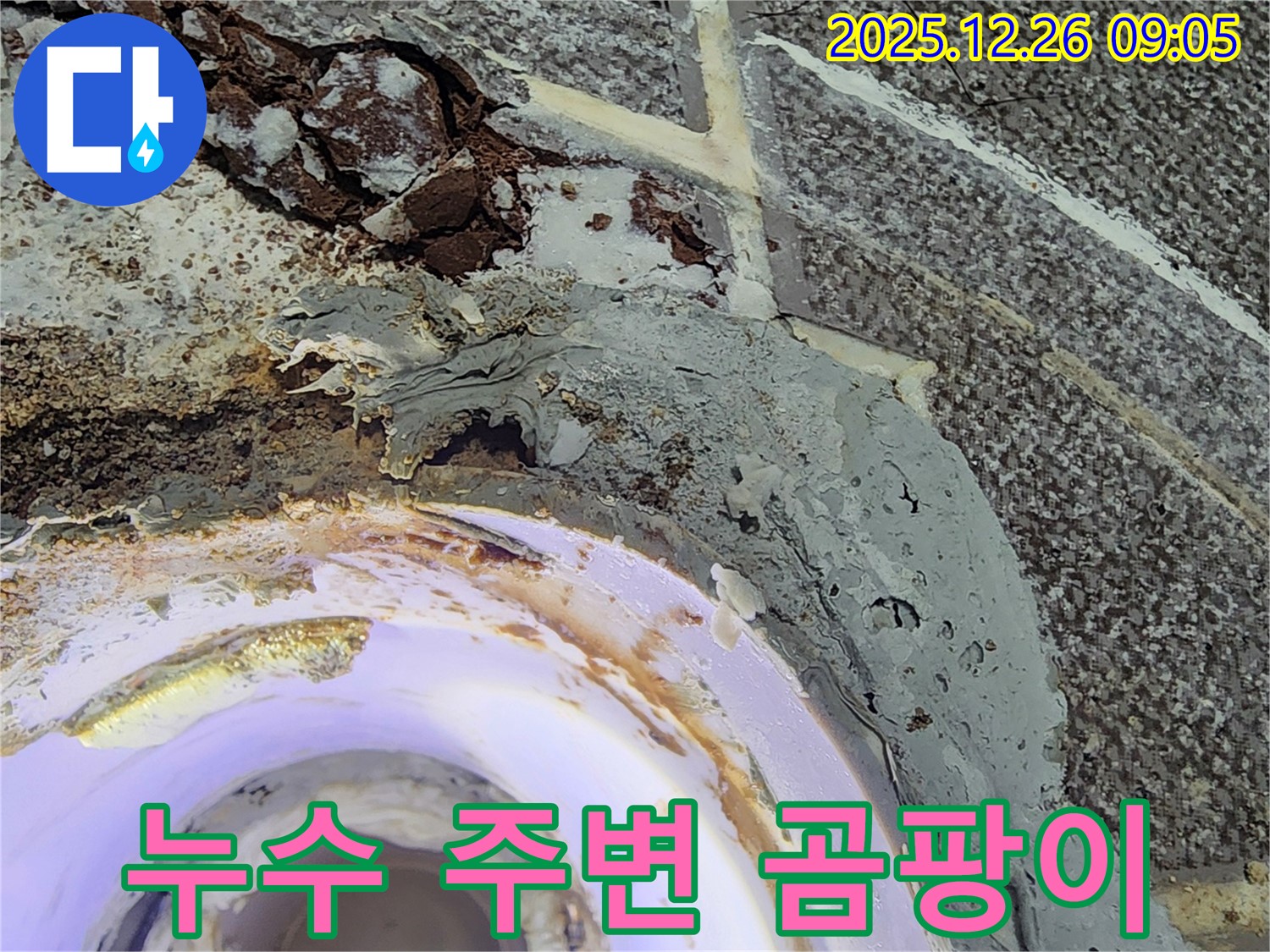 천장 누수 - 곰팡이 발생 및 확산
