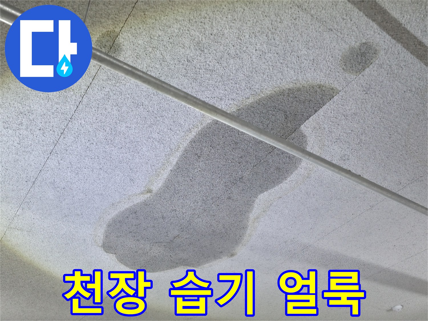 넓게 퍼진 모양의 천장 누수 자국