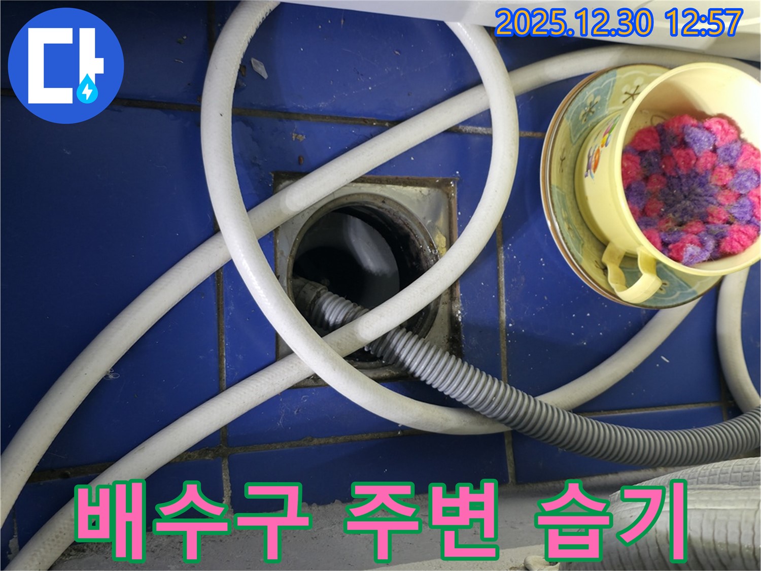 배수구 주변 습기 - 성동구 누수탐지 전문가의 시선
