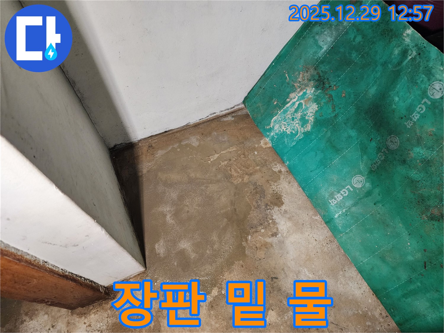 노원구 상계2동 누수 - 장판 밑 습기와 물기
